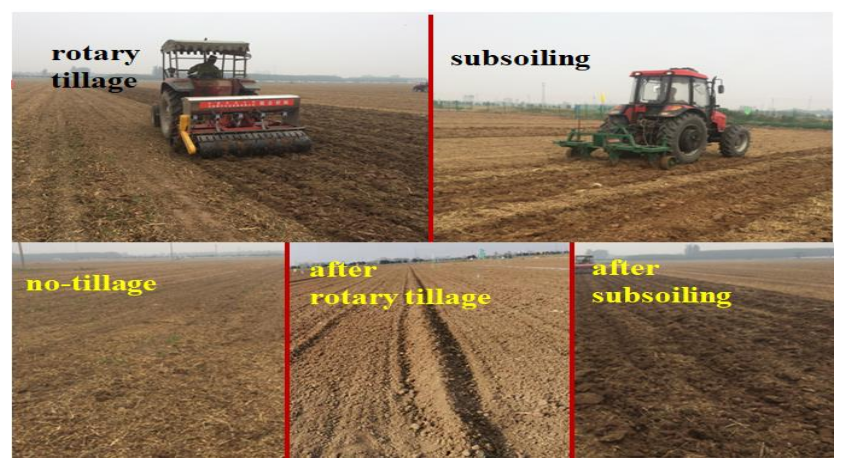 Agriculture 12 00236 g002