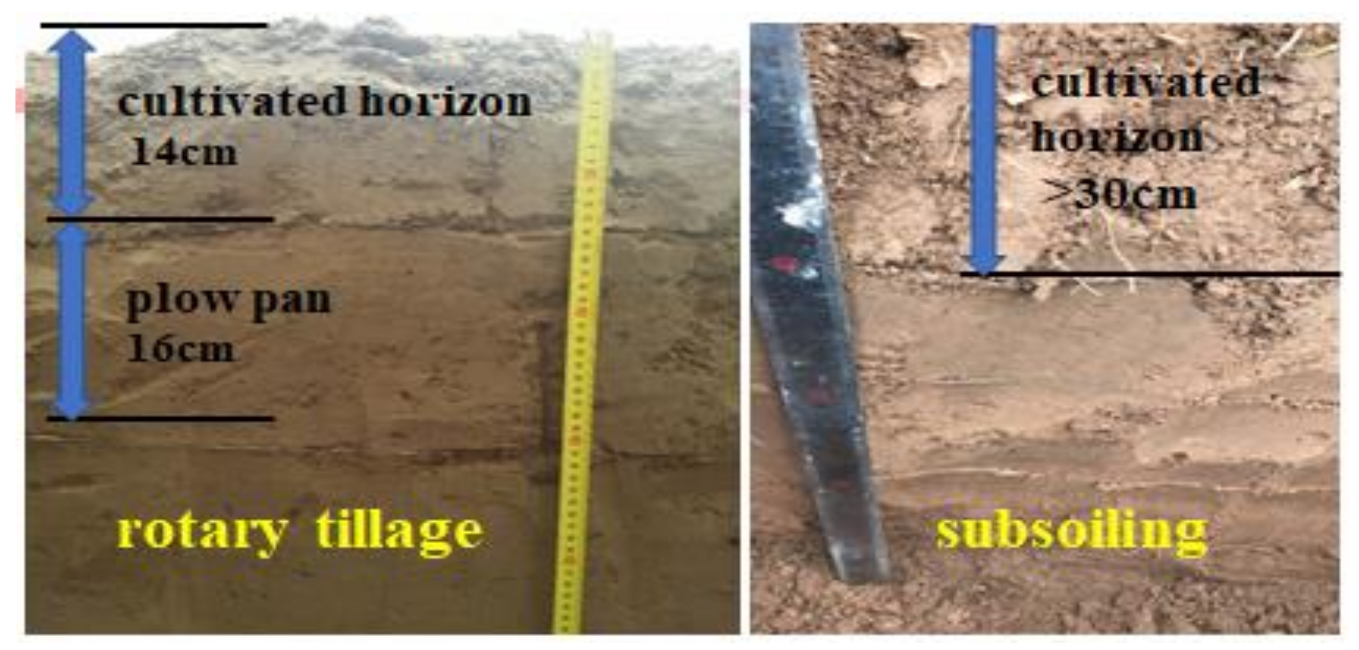 Agriculture 12 00236 g003