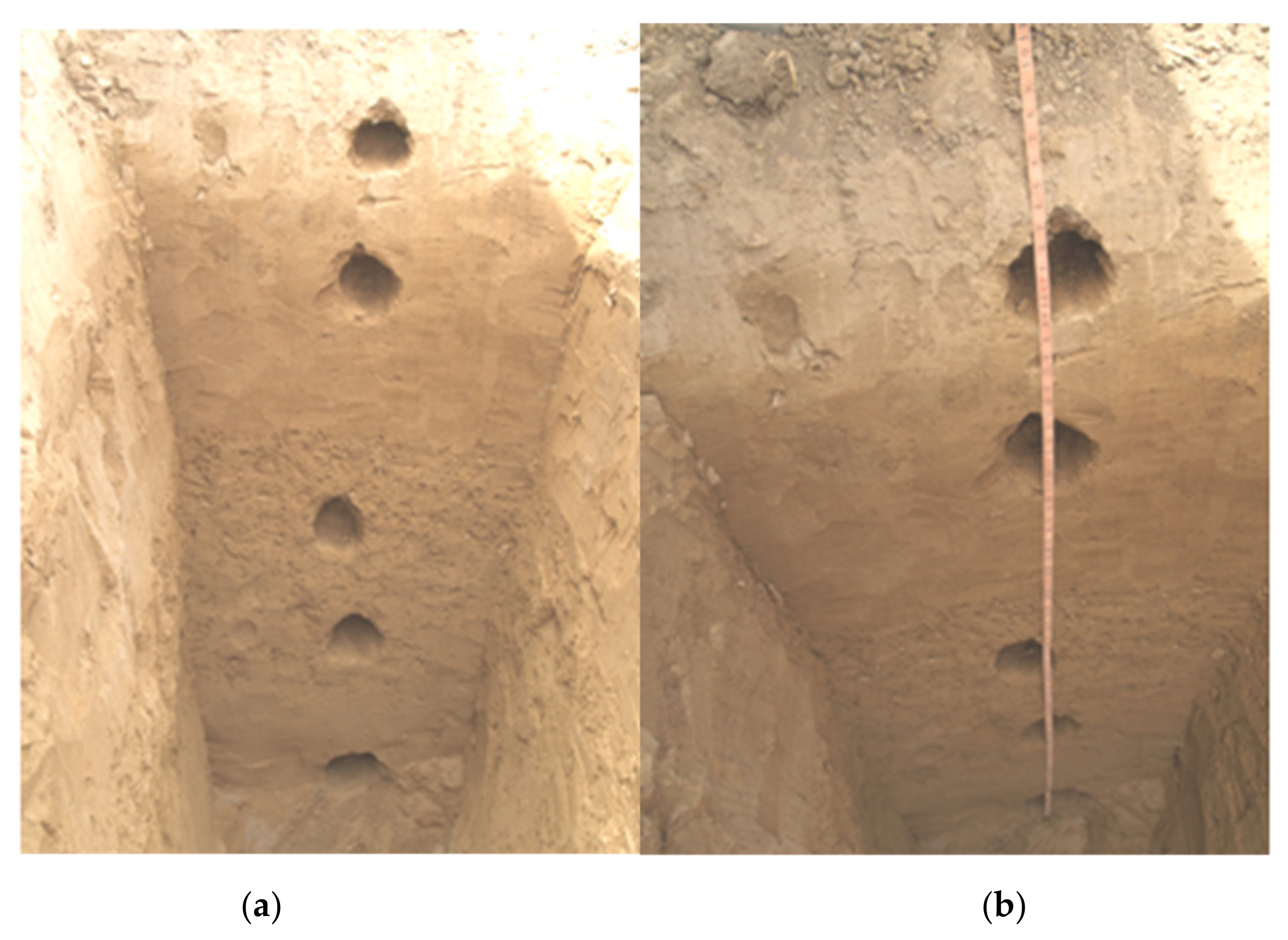 Agriculture 12 00242 g002 550