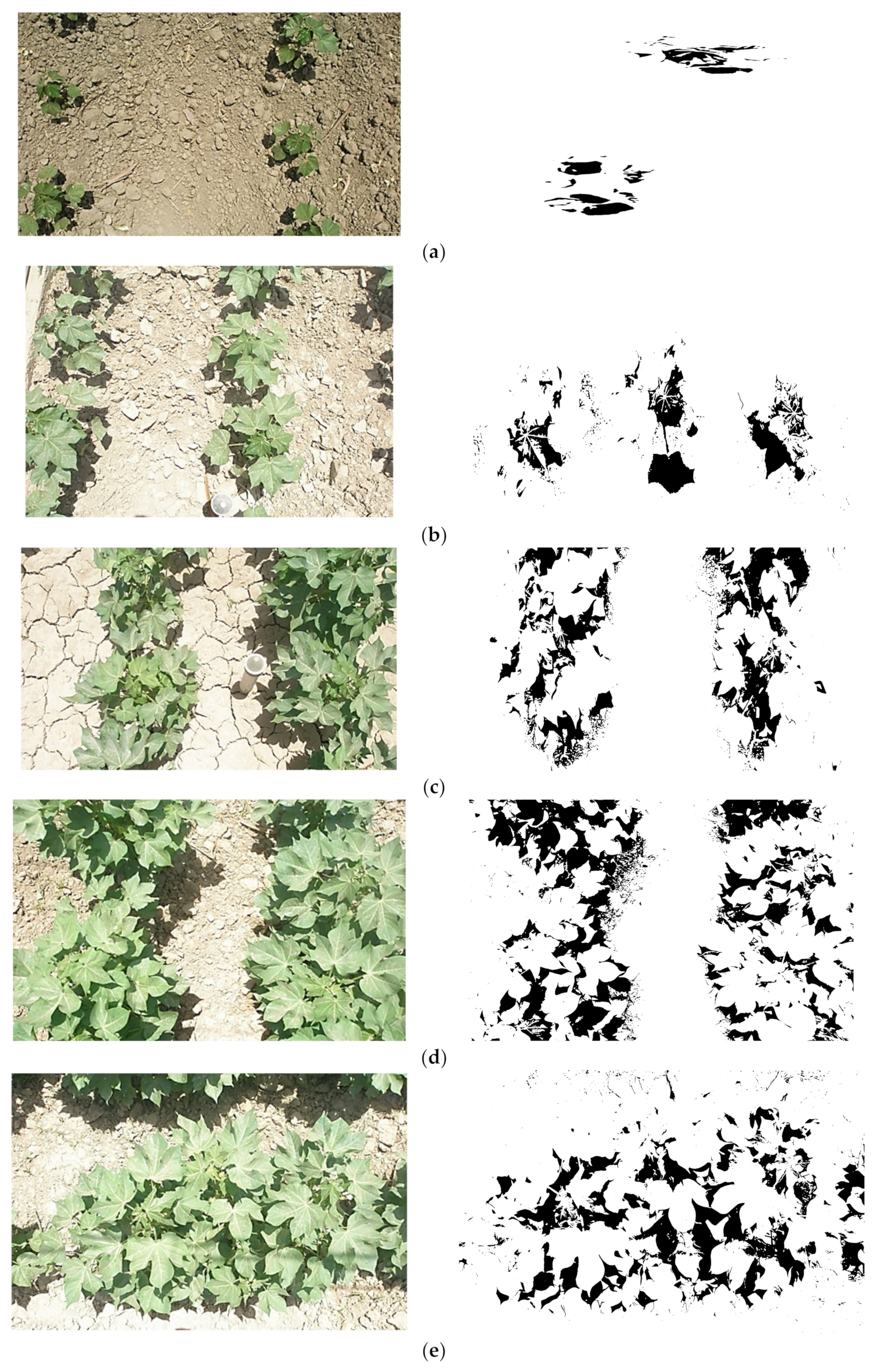 Agriculture 12 00242 g004 550