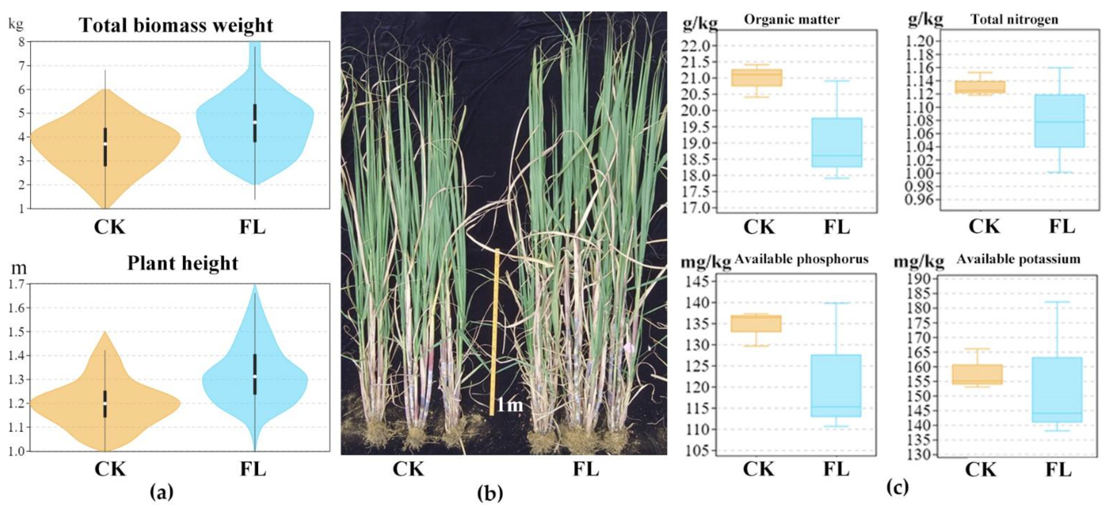 Agriculture 12 00244 g002