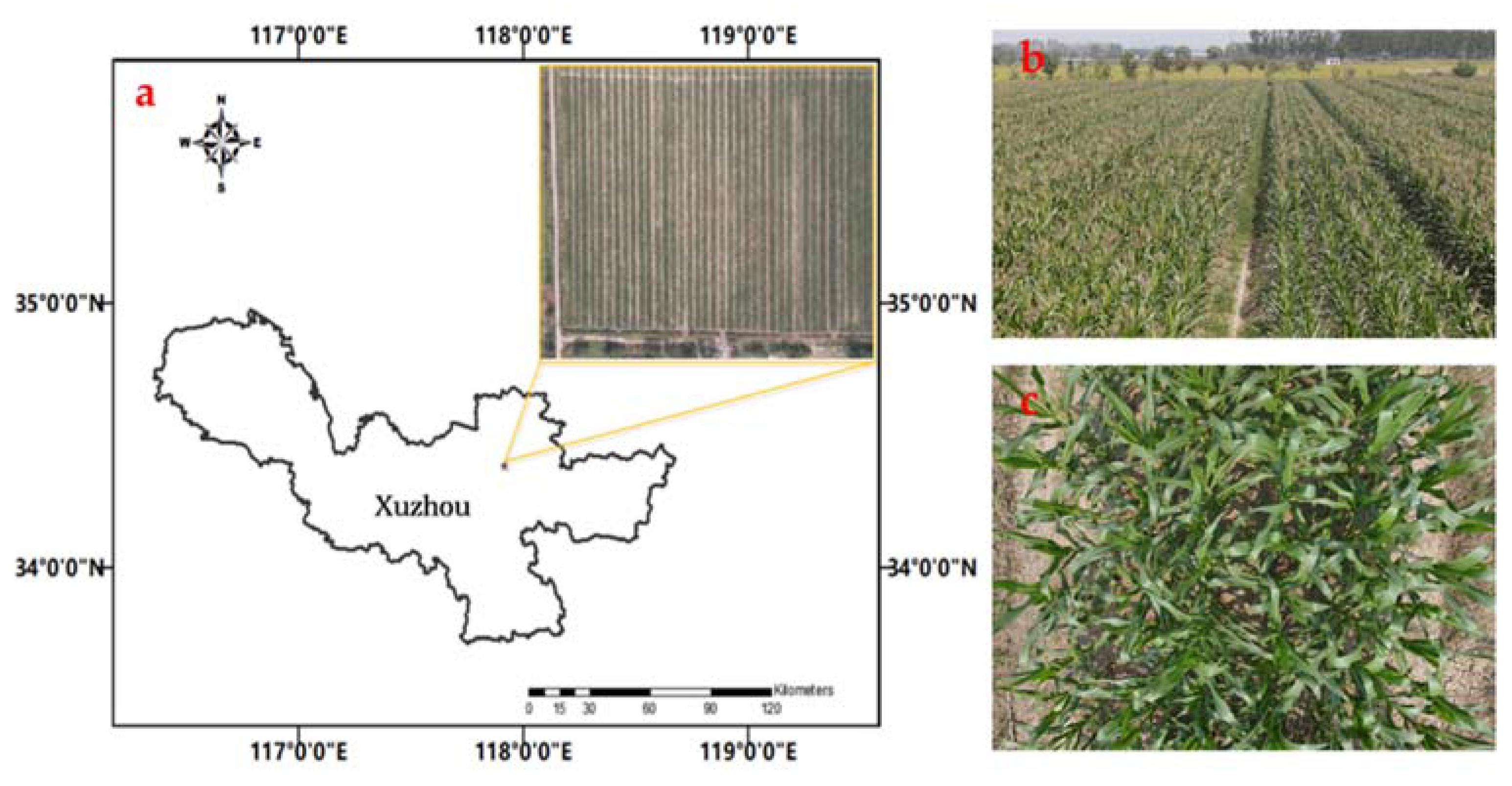 Agriculture 12 00248 g001 550