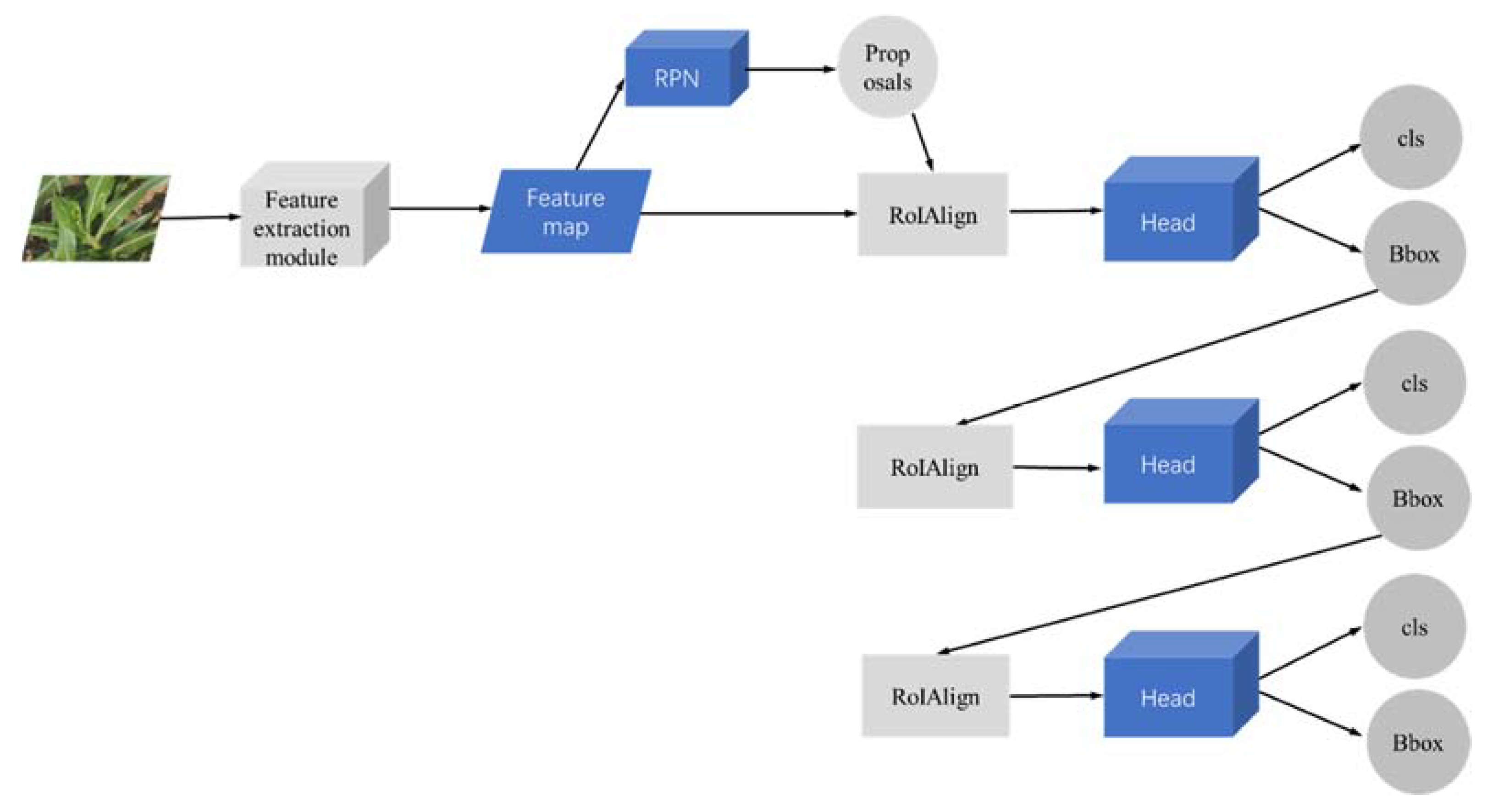 Agriculture 12 00248 g005 550