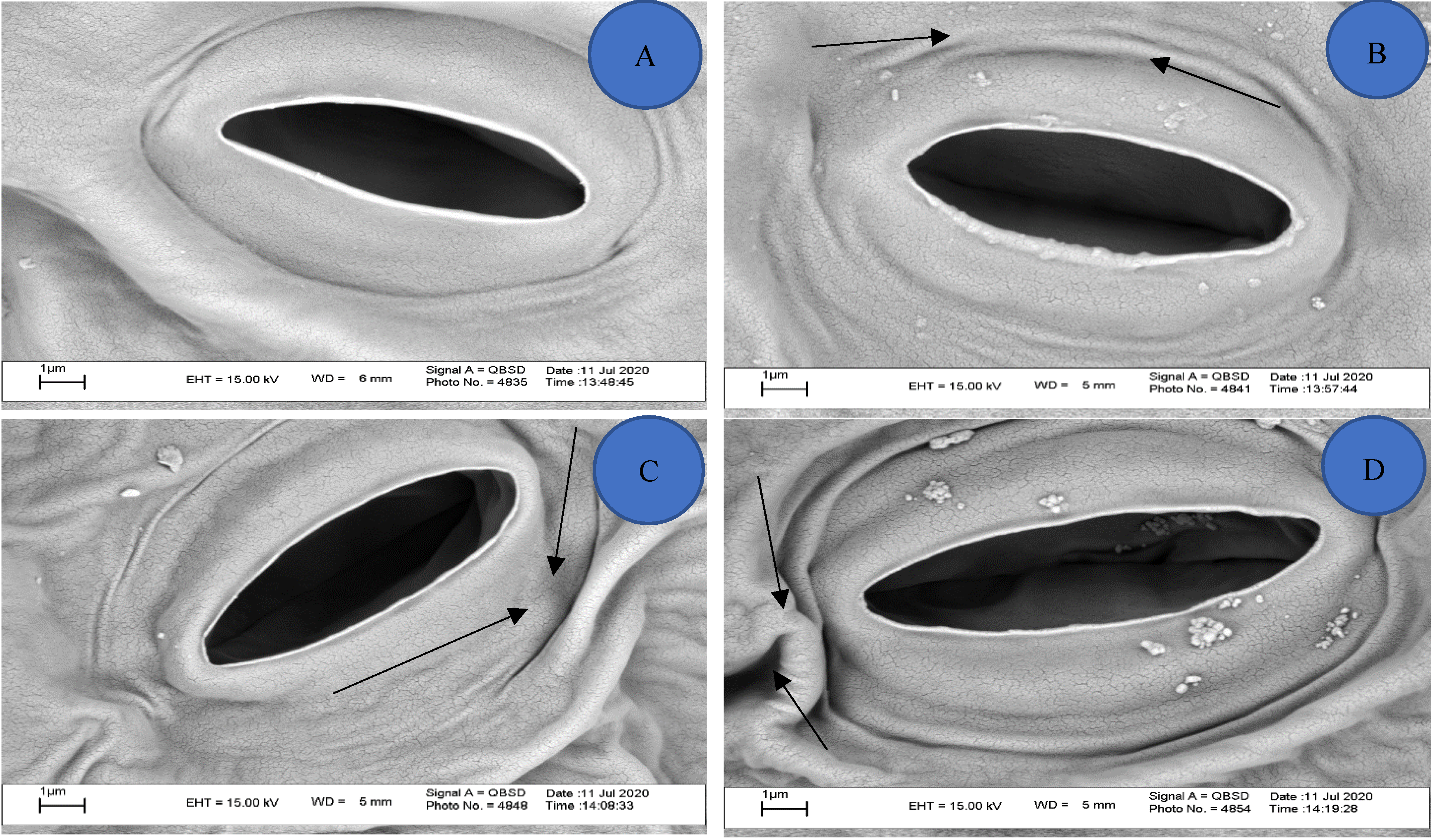 Agriculture 12 00251 g009