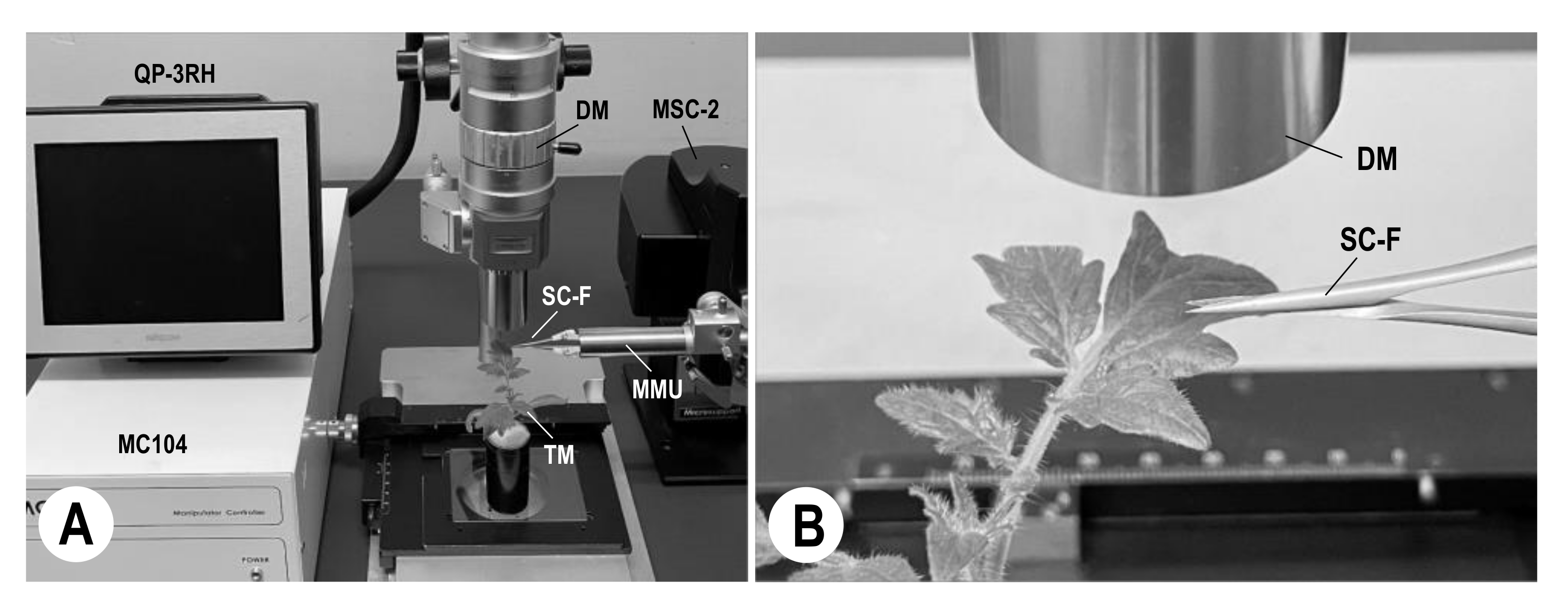 Agriculture 12 00254 g001 Agriculture 12 00254 g001