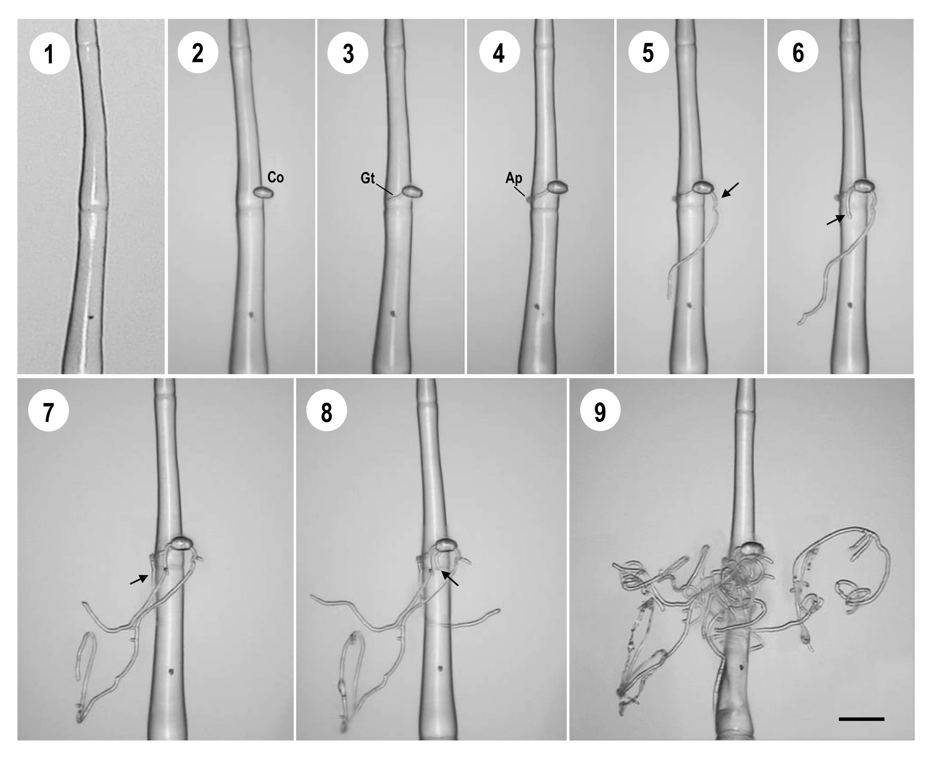 Agriculture 12 00254 g002 Agriculture 12 00254 g002