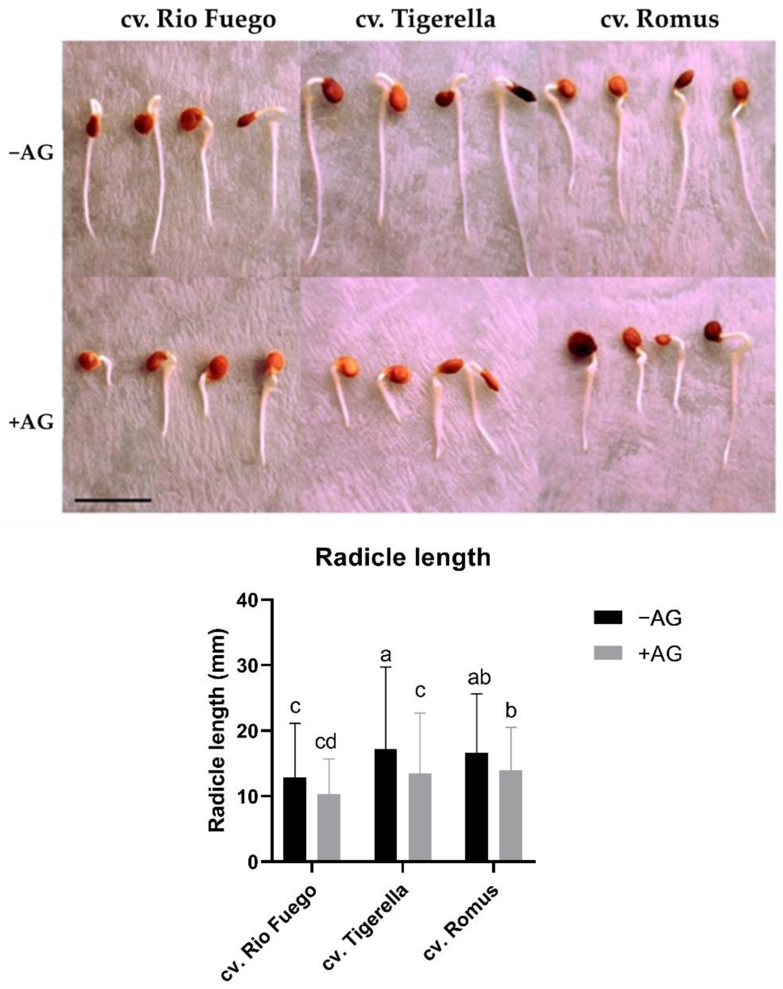 Agriculture 12 00274 g001 550