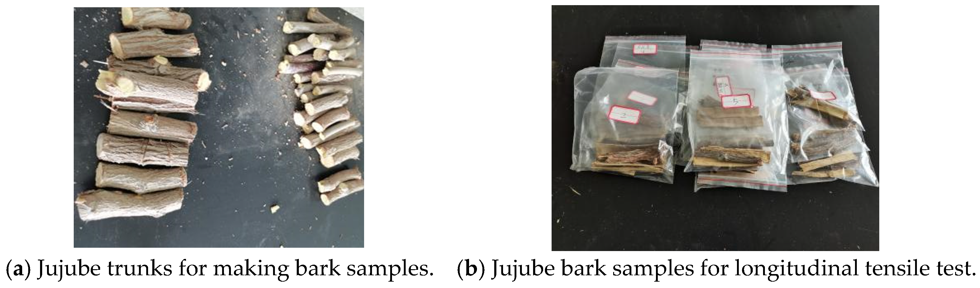 Agriculture 12 00278 g002