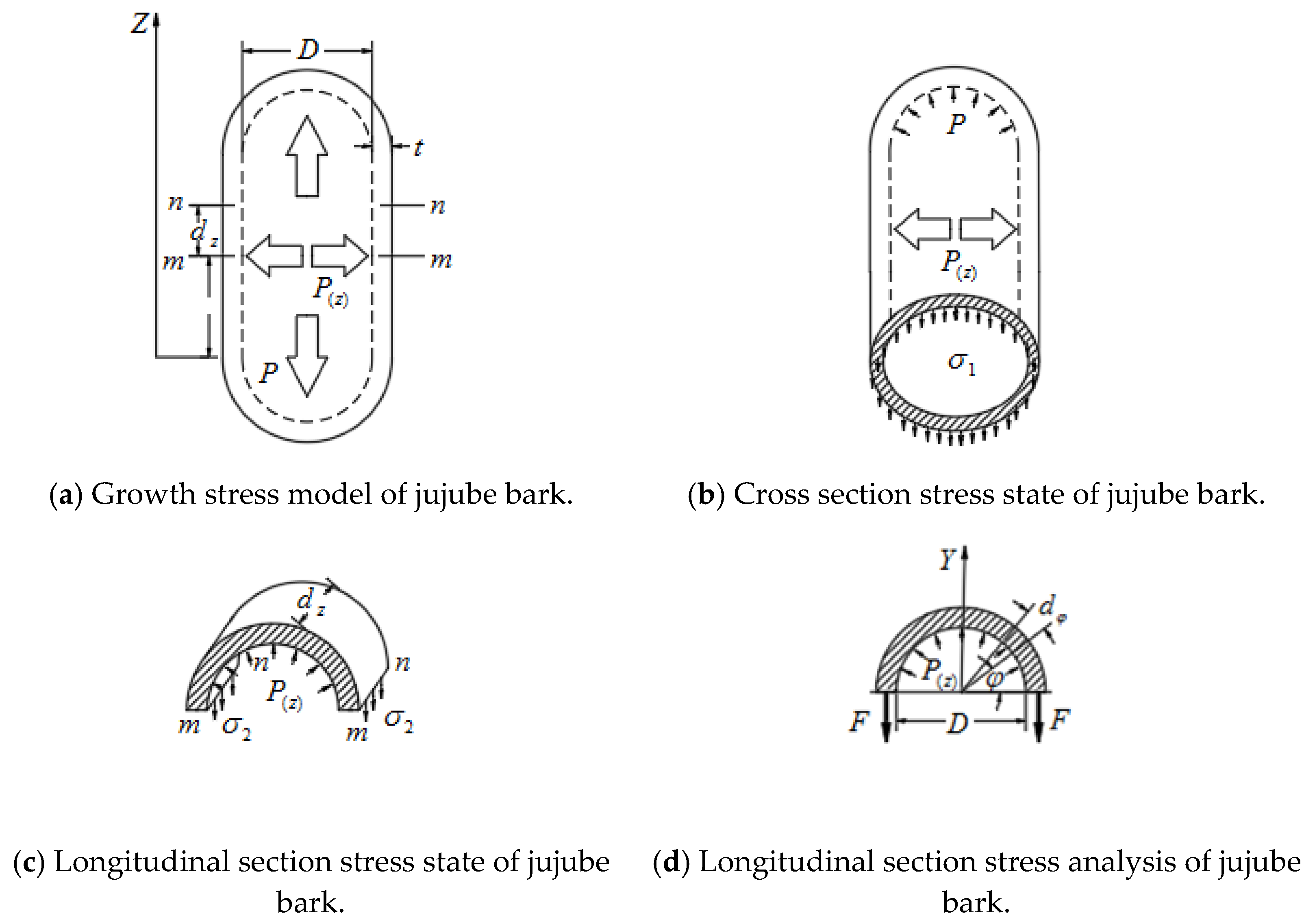 Agriculture 12 00278 g003