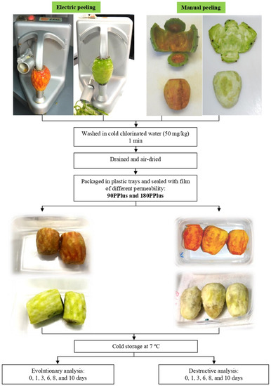 Agriculture | Free Full-Text | Effects Of Peeling, Film Packaging.