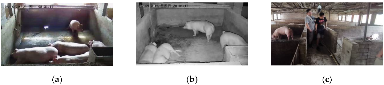 Agriculture 12 00284 g001