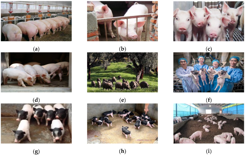 Agriculture 12 00284 g002