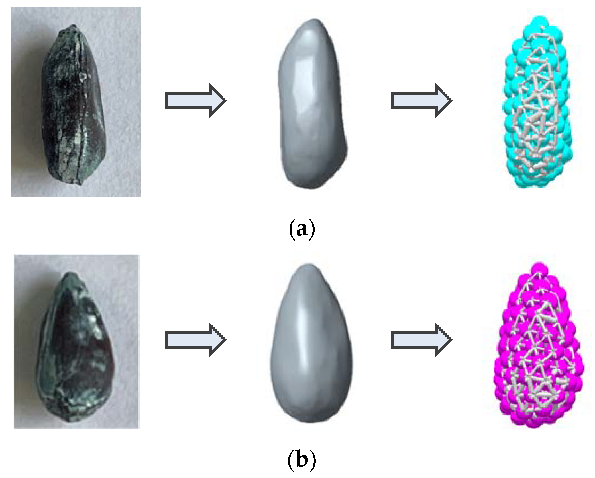 Agriculture 12 00286 g007 550