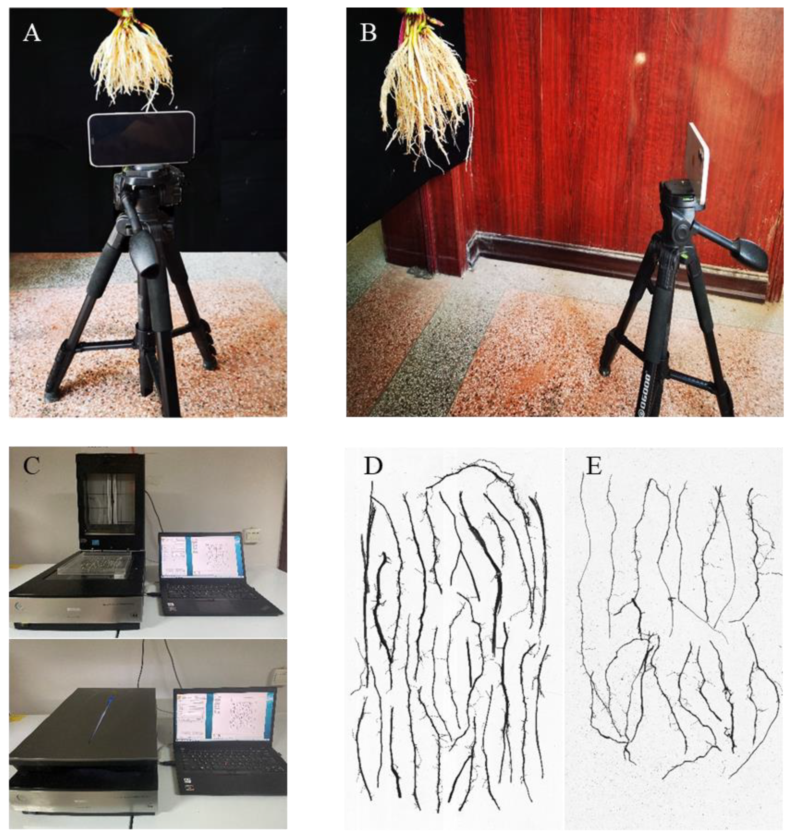 Agriculture 12 00299 g004 Agriculture 12 00299 g004