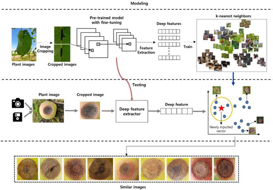 Improved Multi-Plant Disease Recognition Method Using Deep ...
