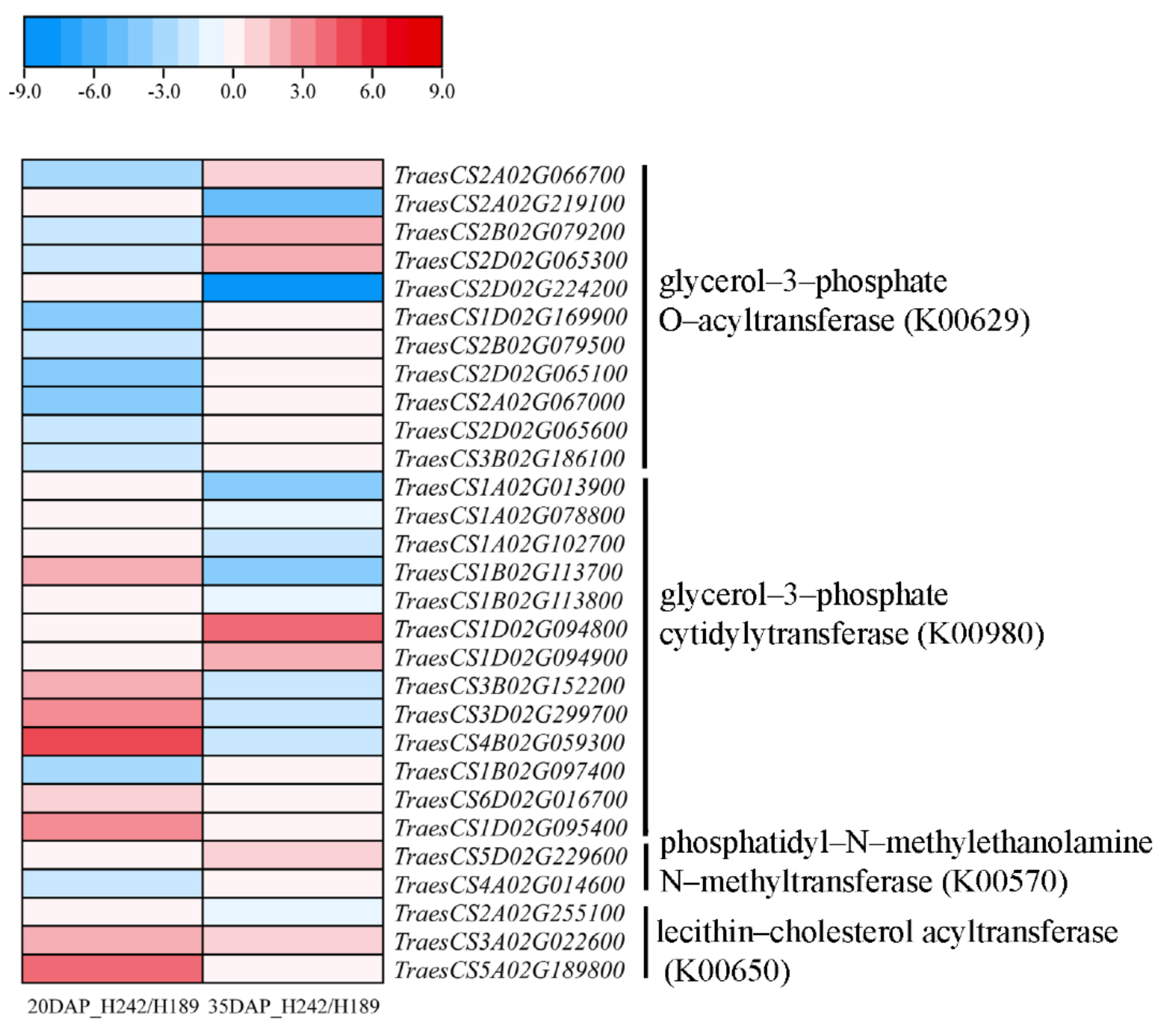 Agriculture 12 00308 g004