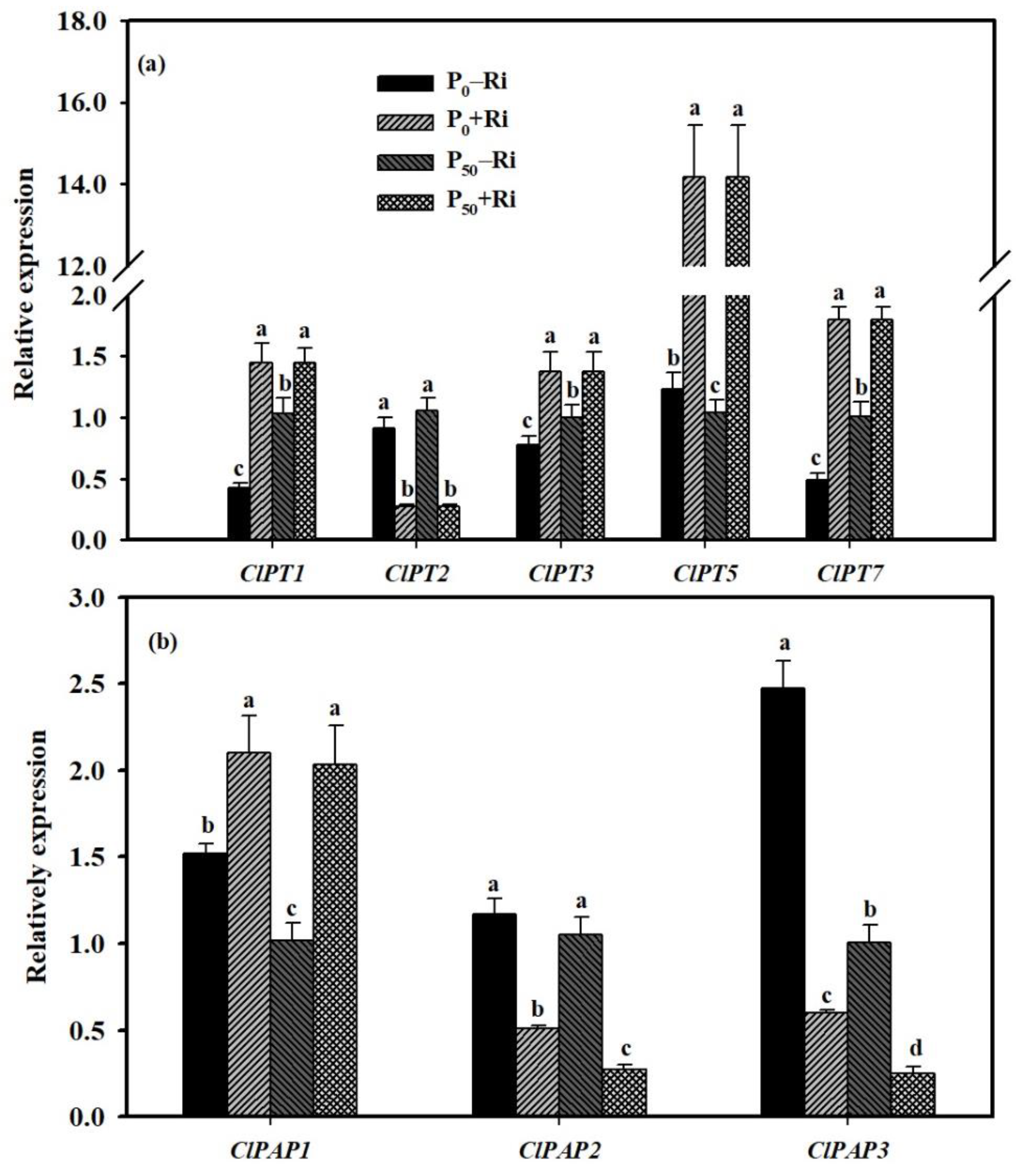 Agriculture 12 00317 g004