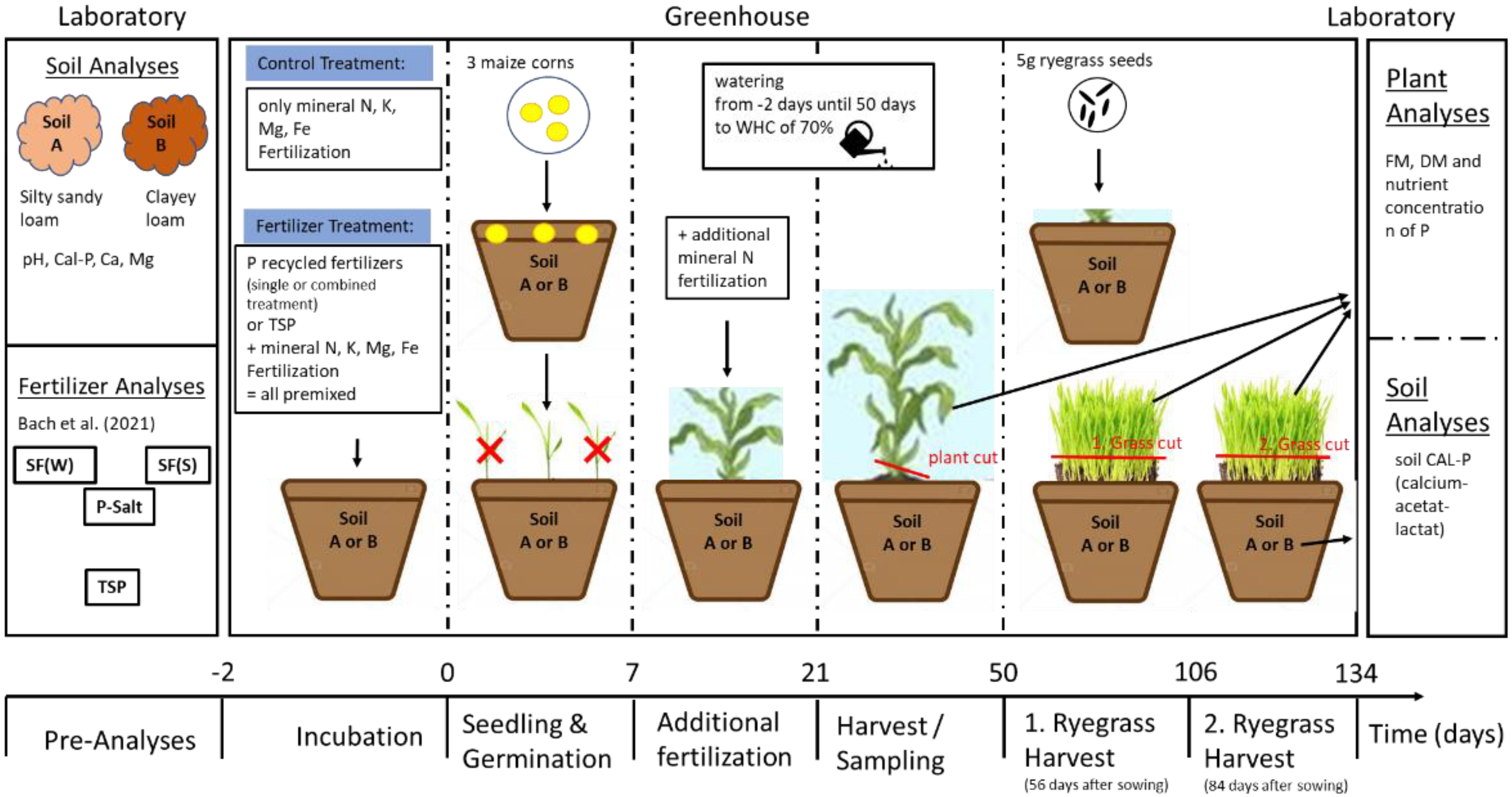 Agriculture 12 00325 g001