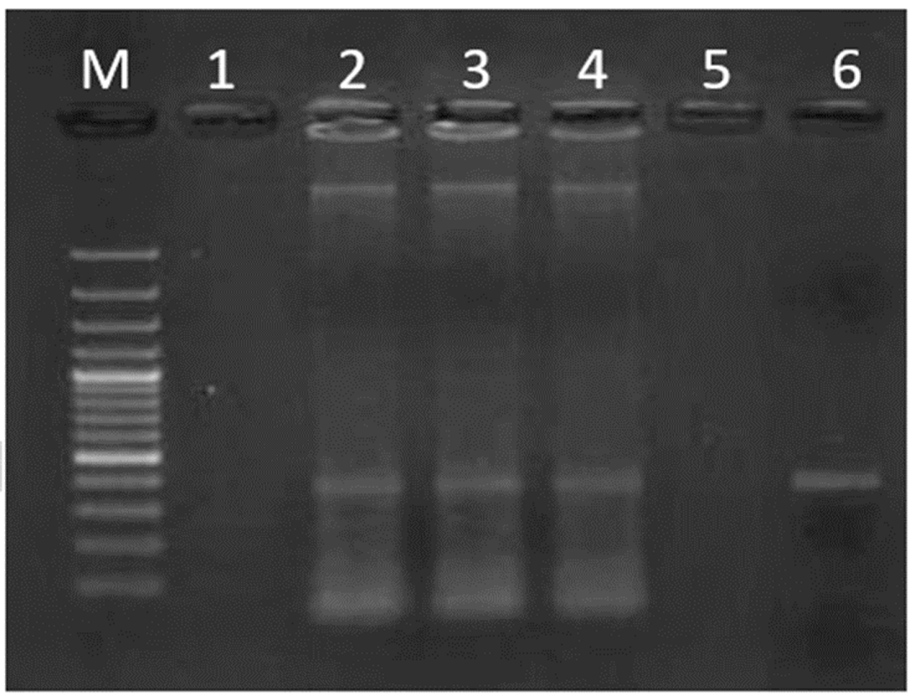 Agriculture 12 00339 g002