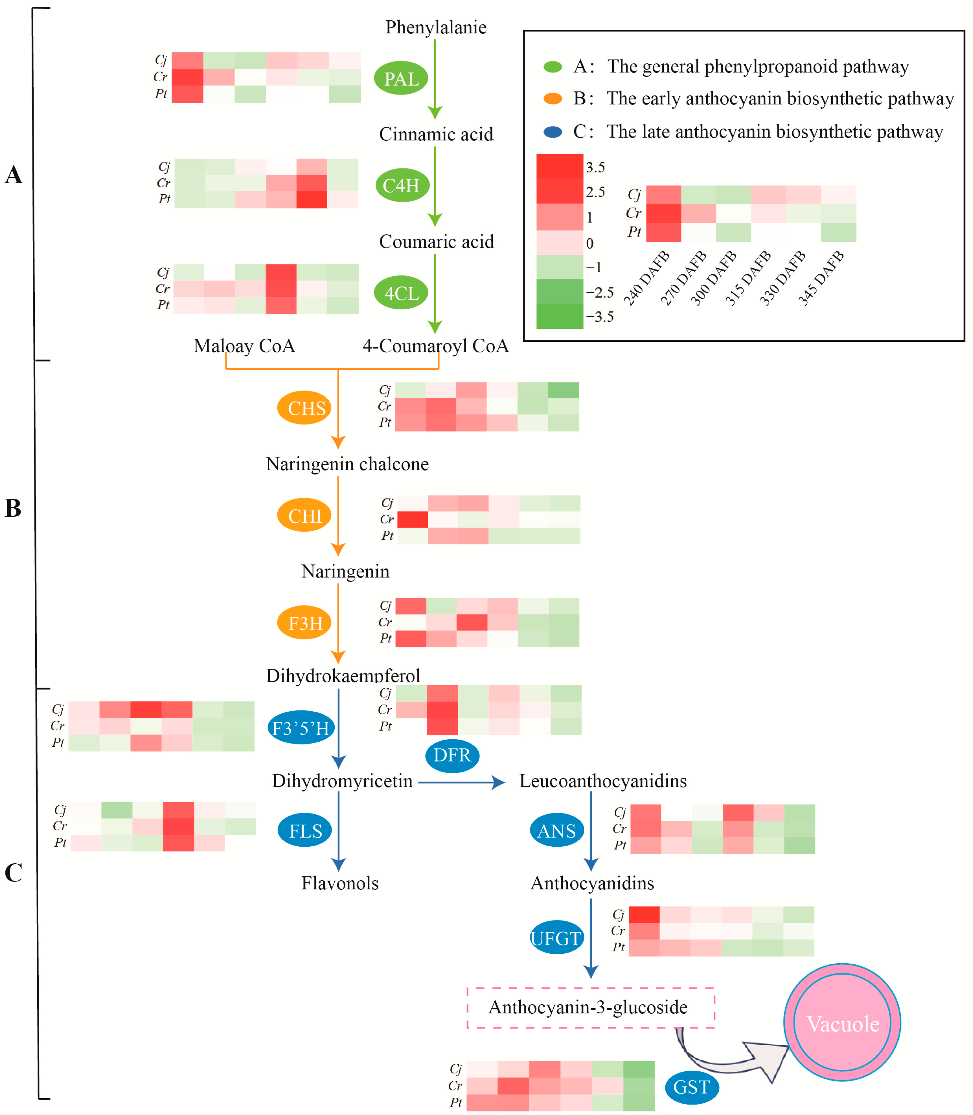 Agriculture 12 00342 g008
