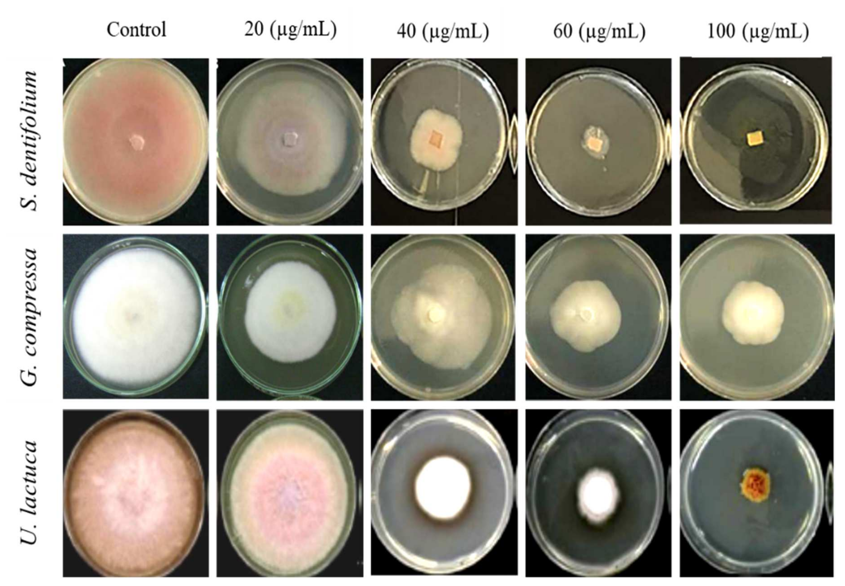 Agriculture 12 00345 g005