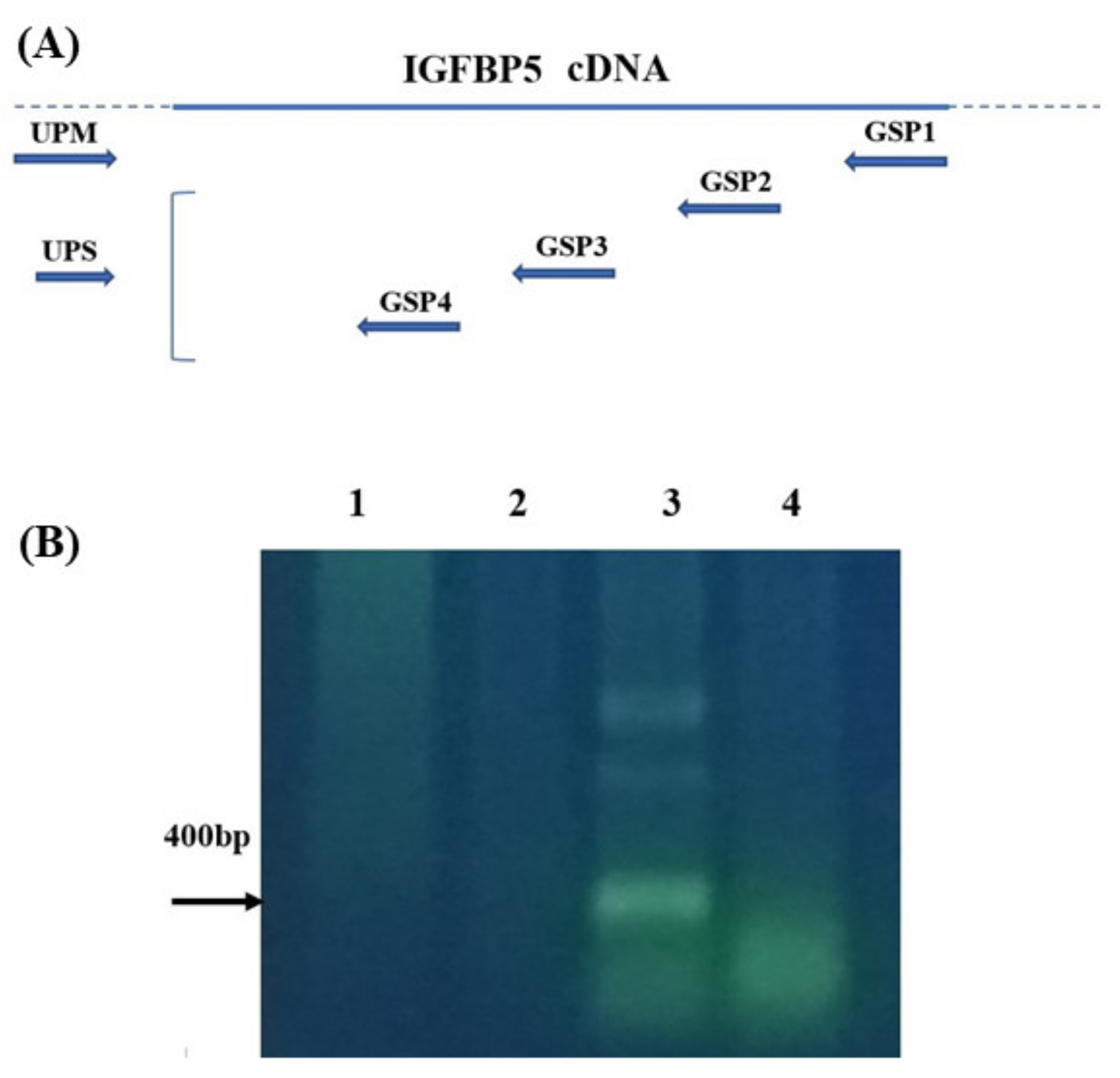 Agriculture 12 00347 g001