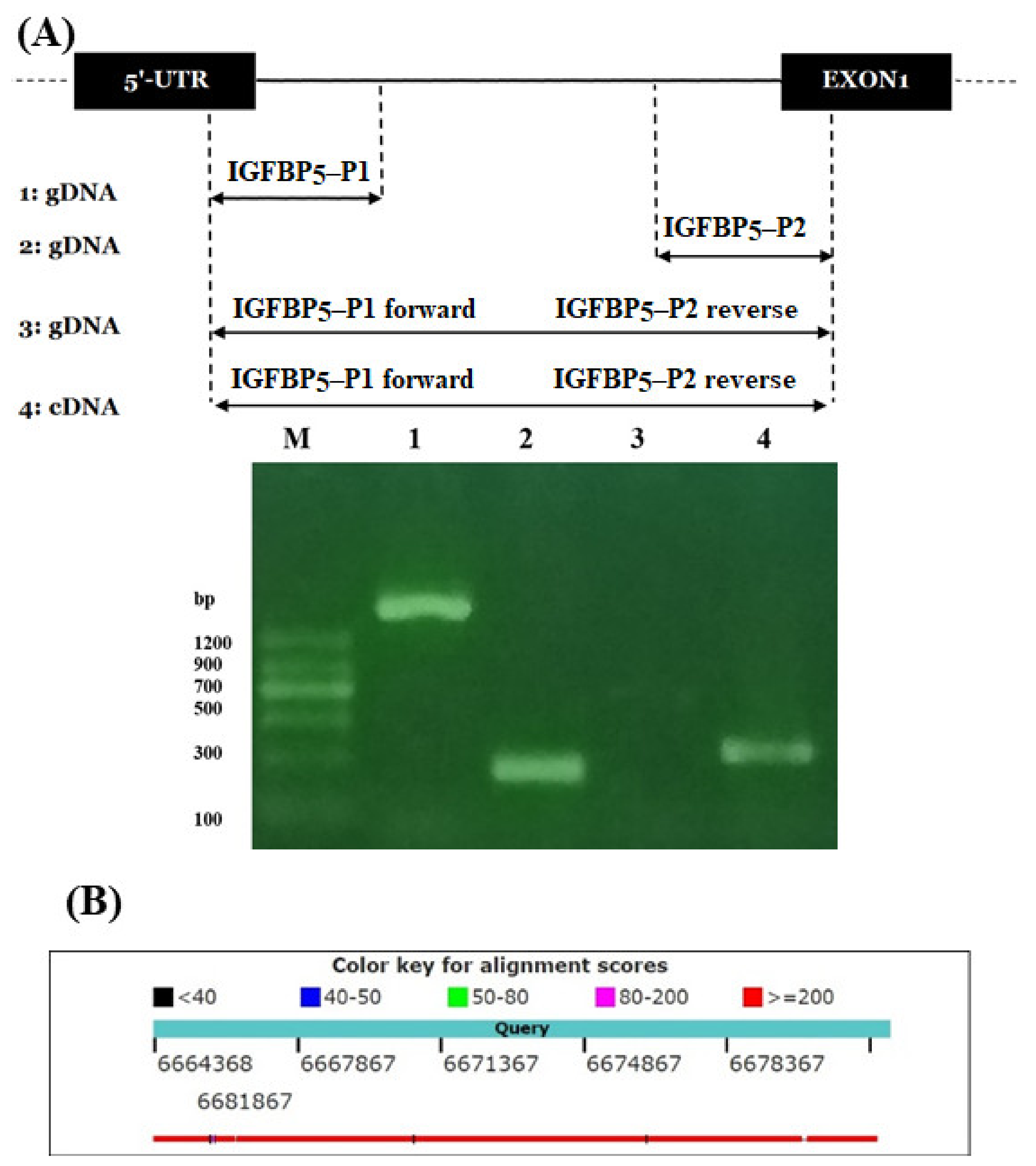 Agriculture 12 00347 g004