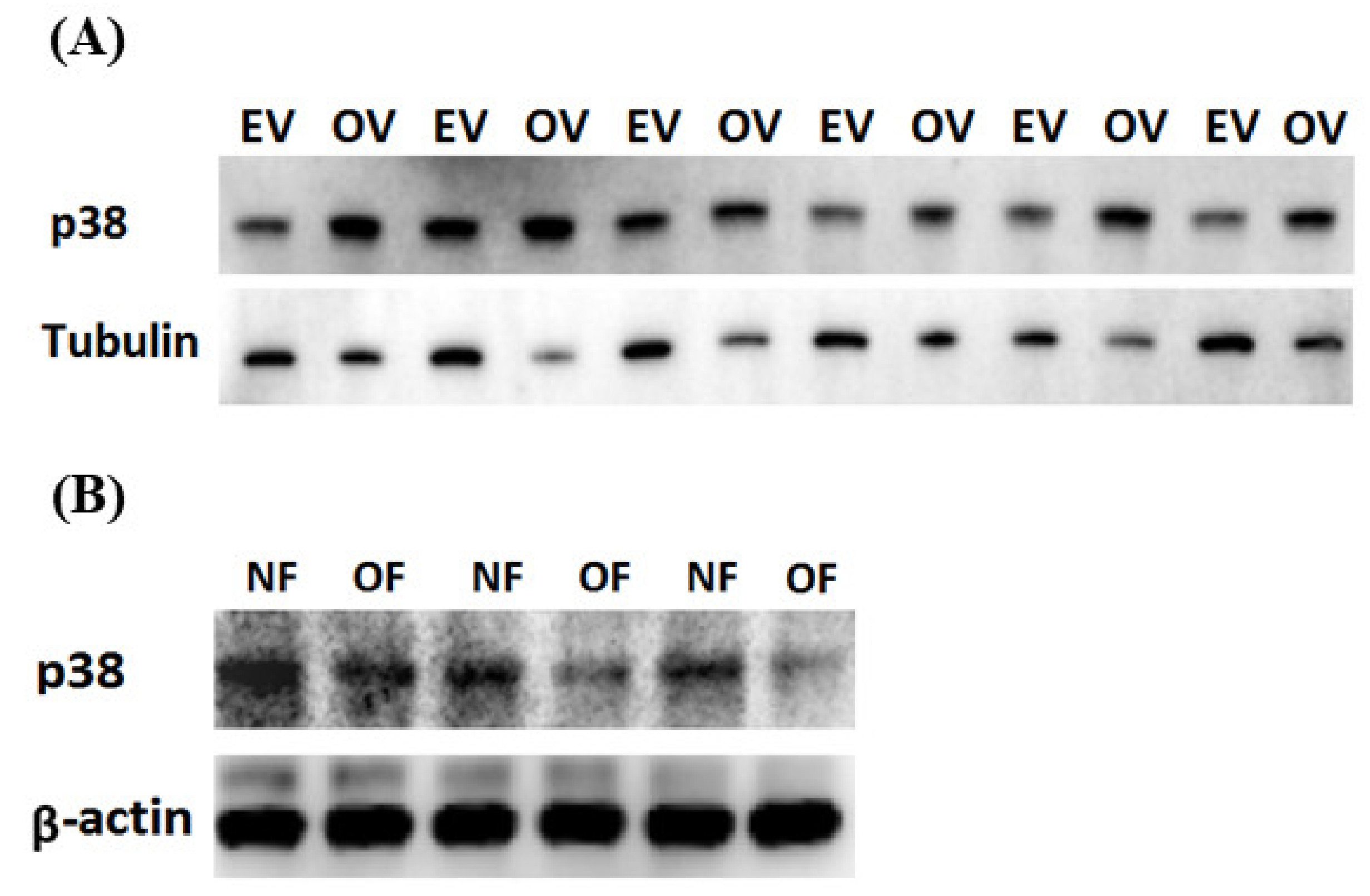 Agriculture 12 00347 g008