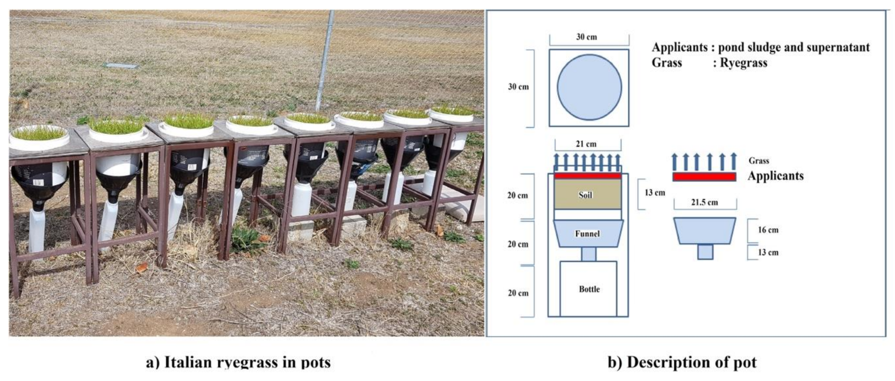 Agriculture 12 00351 g001 550