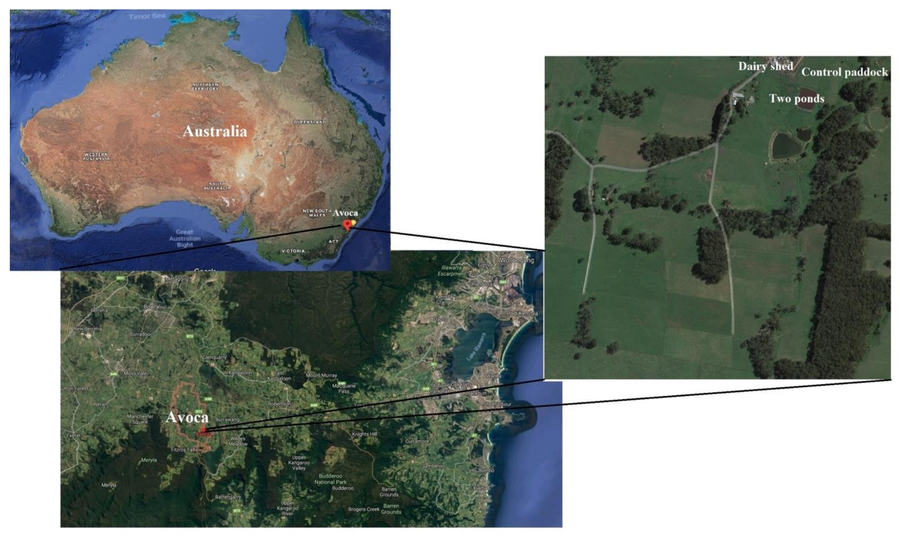 Agriculture 12 00351 g002 550