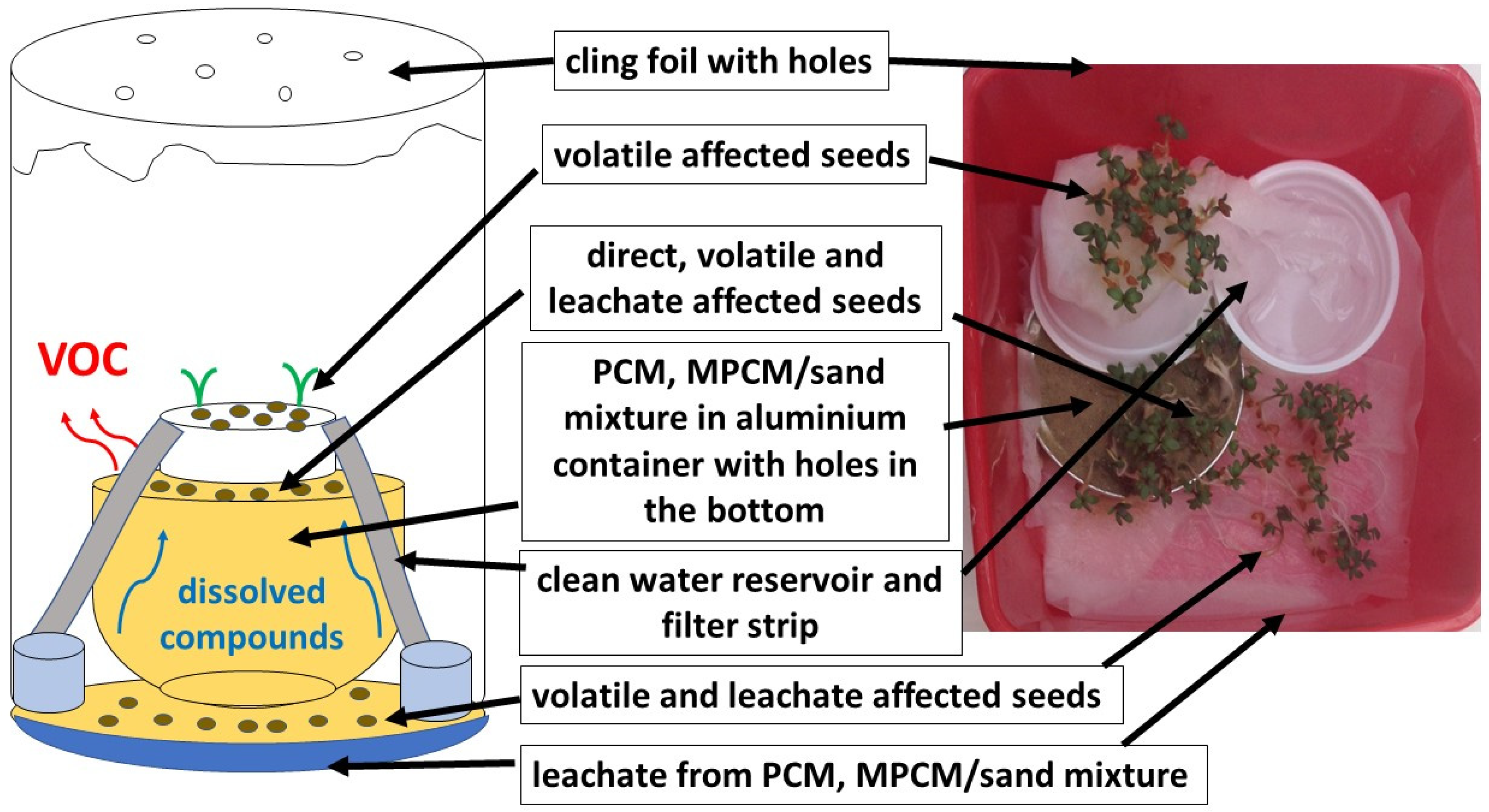 Agriculture 12 00360 g001