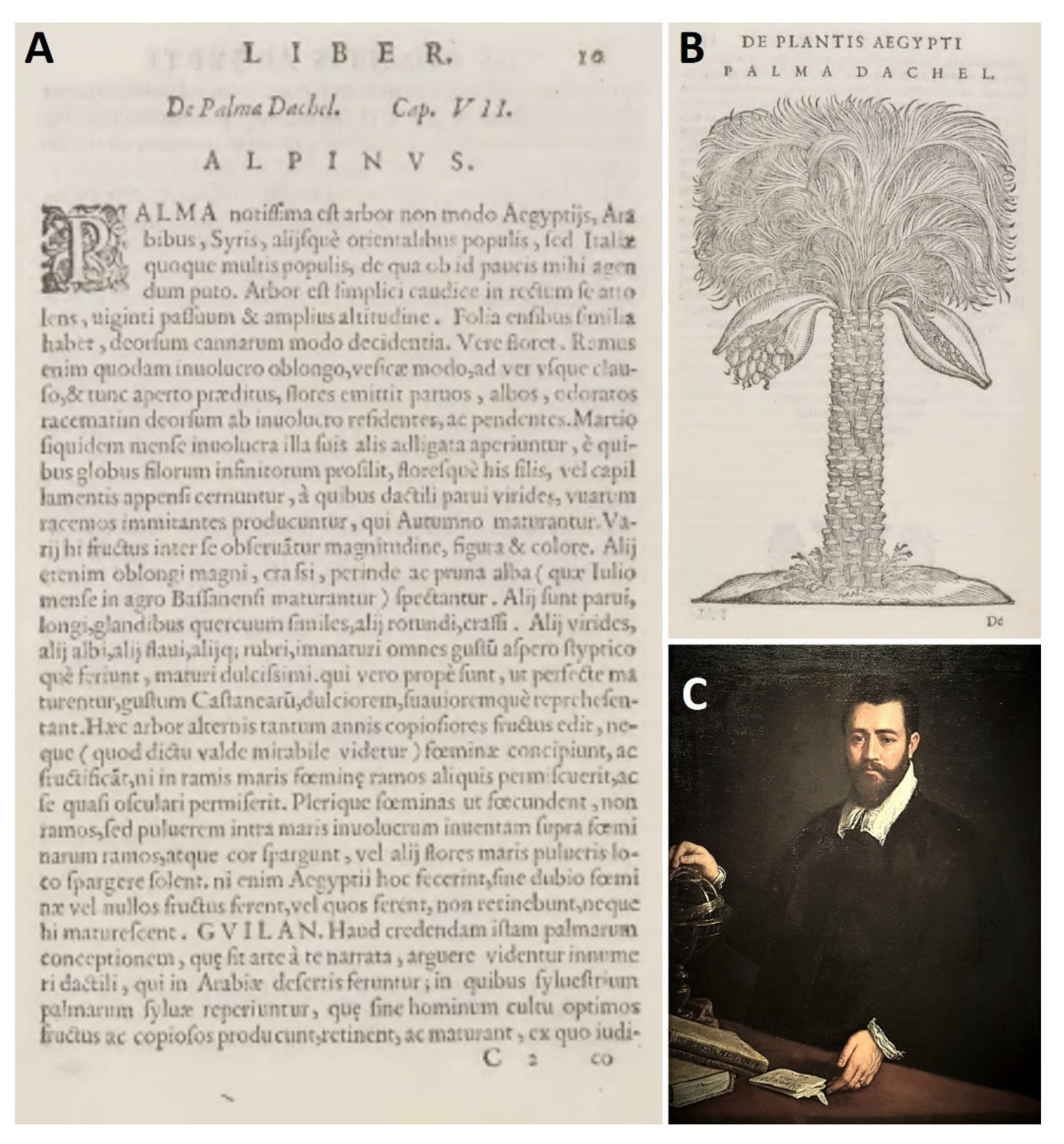 Agriculture 12 00364 g001 550