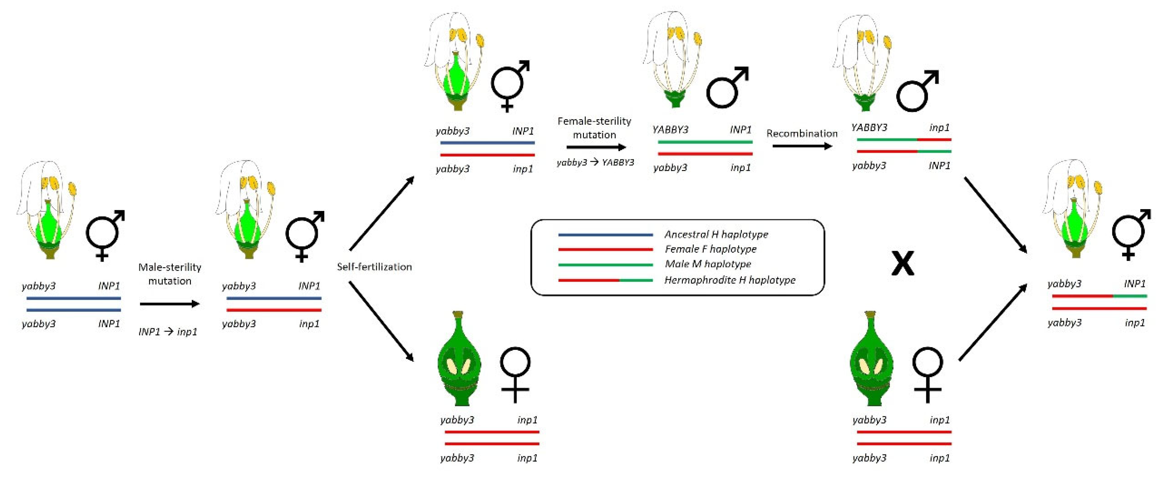 Agriculture 12 00364 g002 550