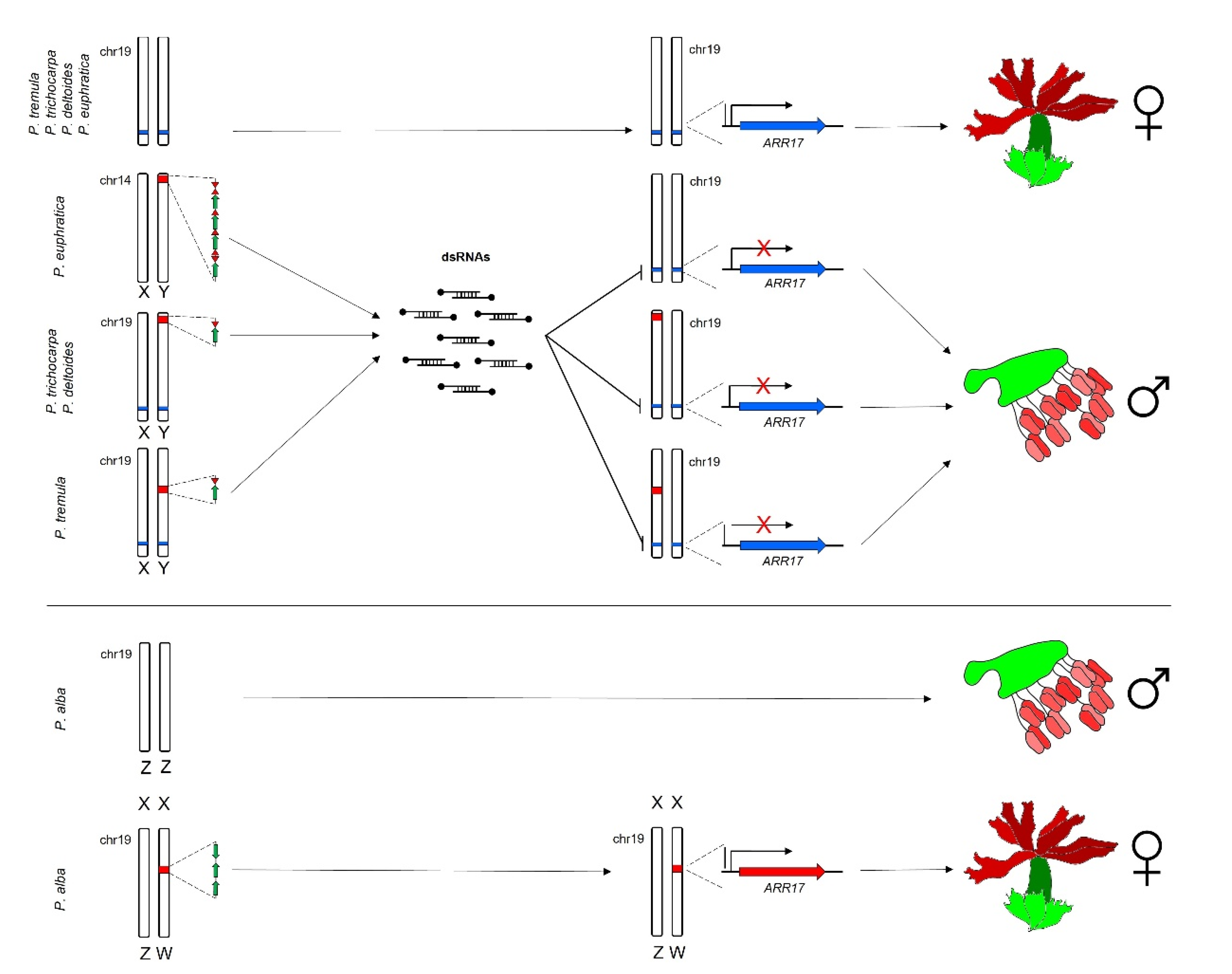Agriculture 12 00364 g003 550