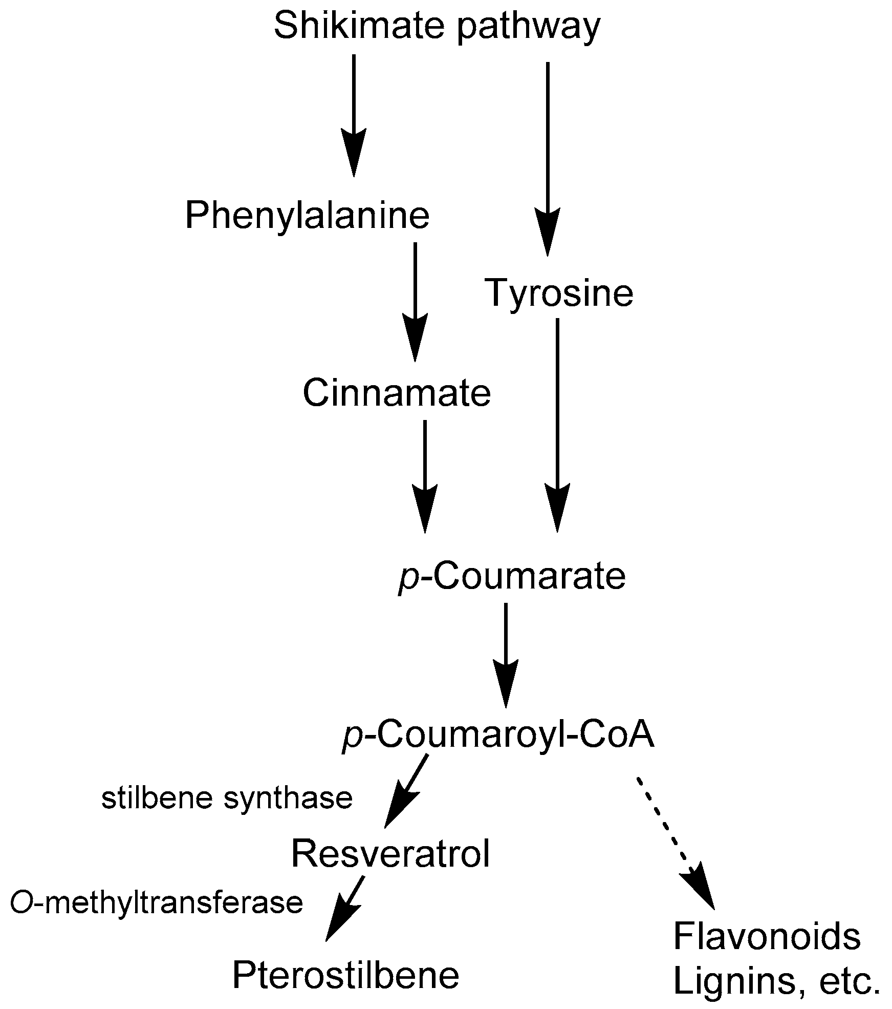 Agriculture 12 00368 g002 550