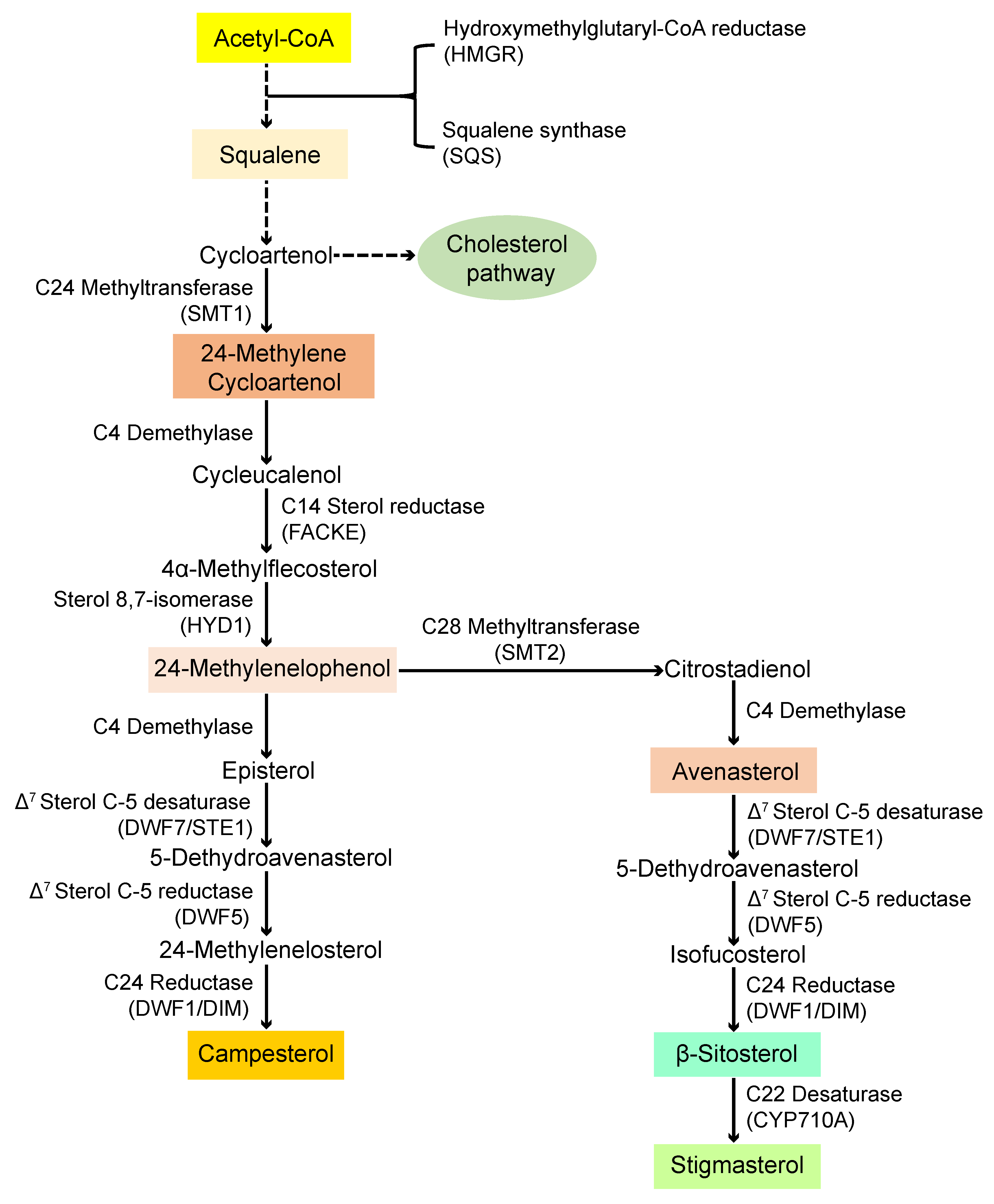 Agriculture 12 00392 g001 550