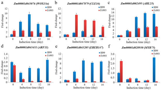 QTL Mapping of Somatic Regeneration-Related Traits in Maize