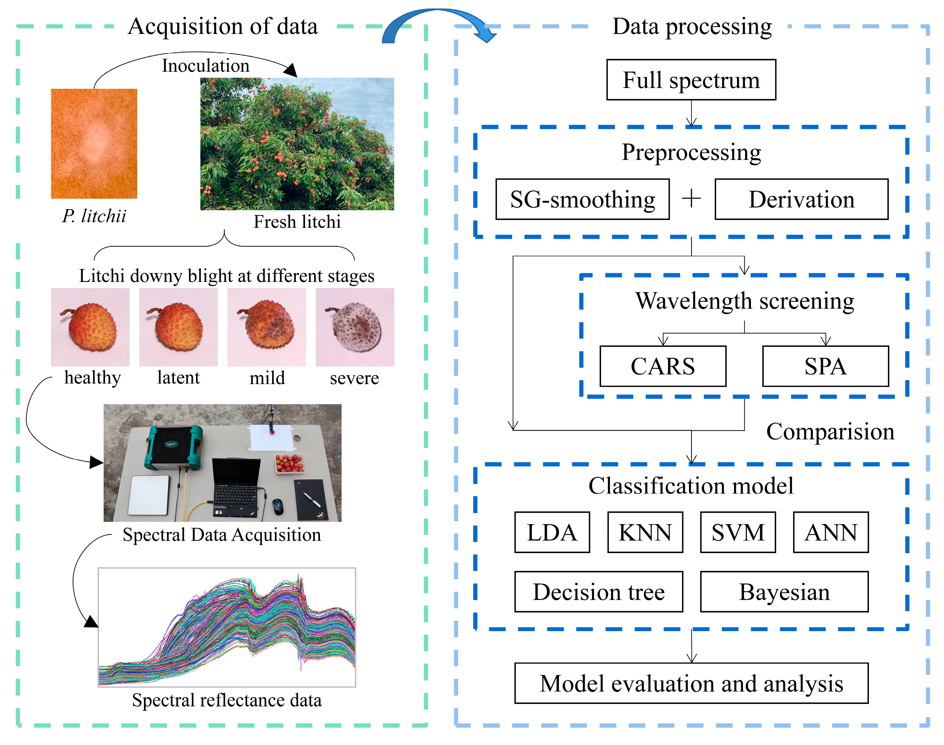 Agriculture 12 00402 g001 550