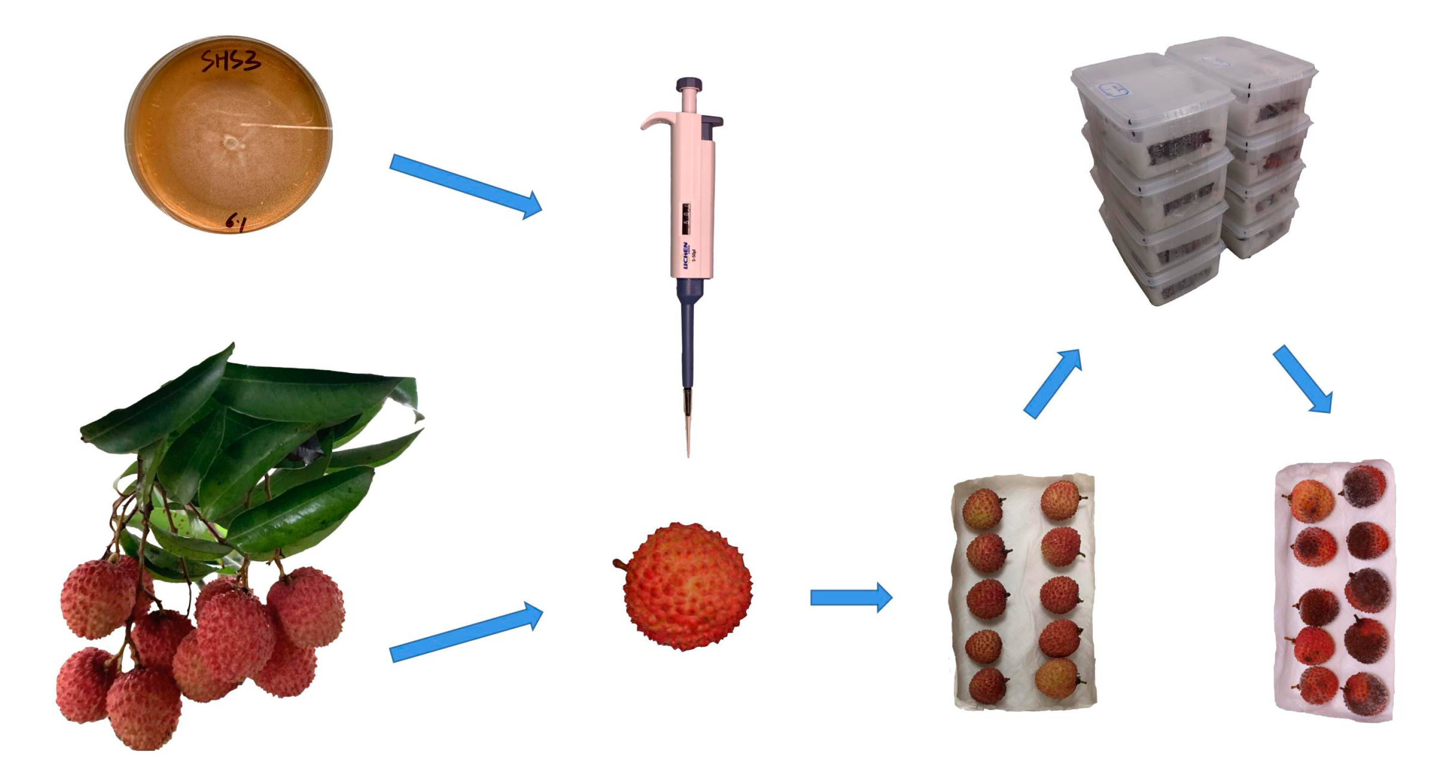 Agriculture 12 00402 g002 550