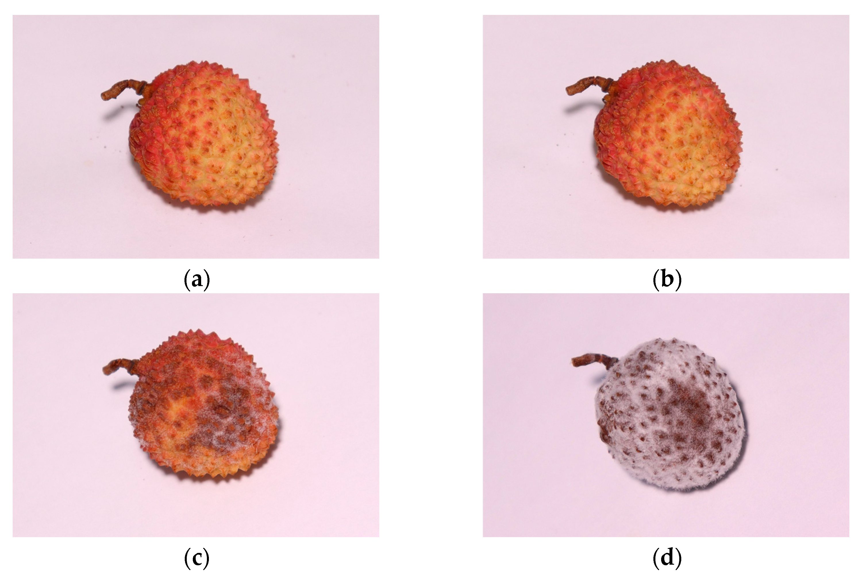 Agriculture 12 00402 g004 550