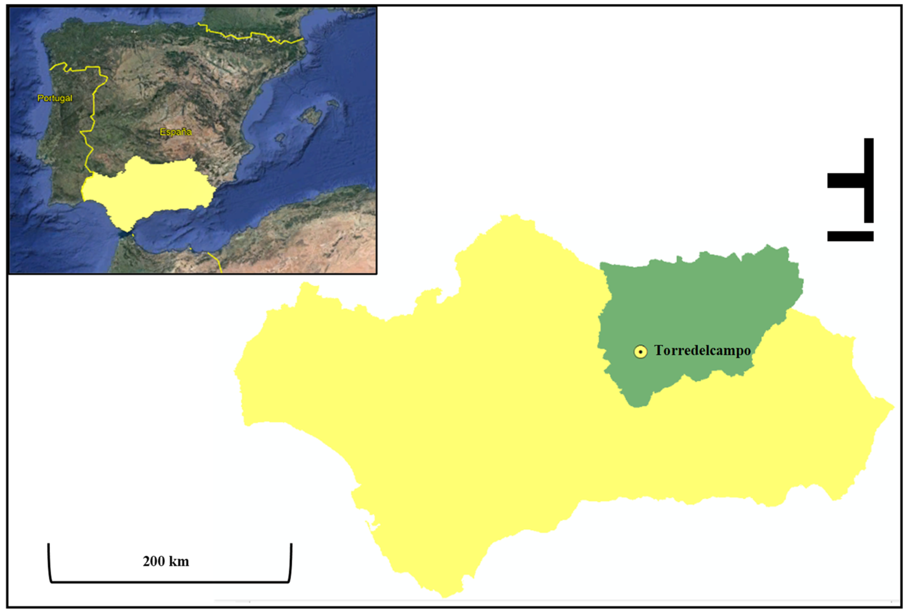 Agriculture 12 00407 g001 550