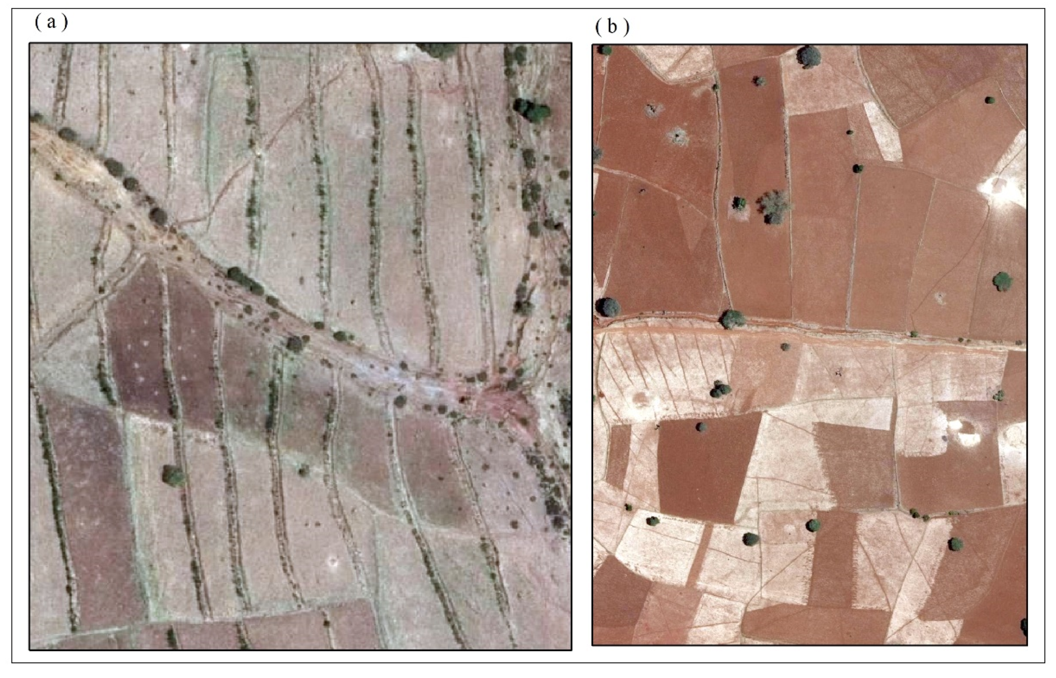 Agriculture 12 00417 g002 550