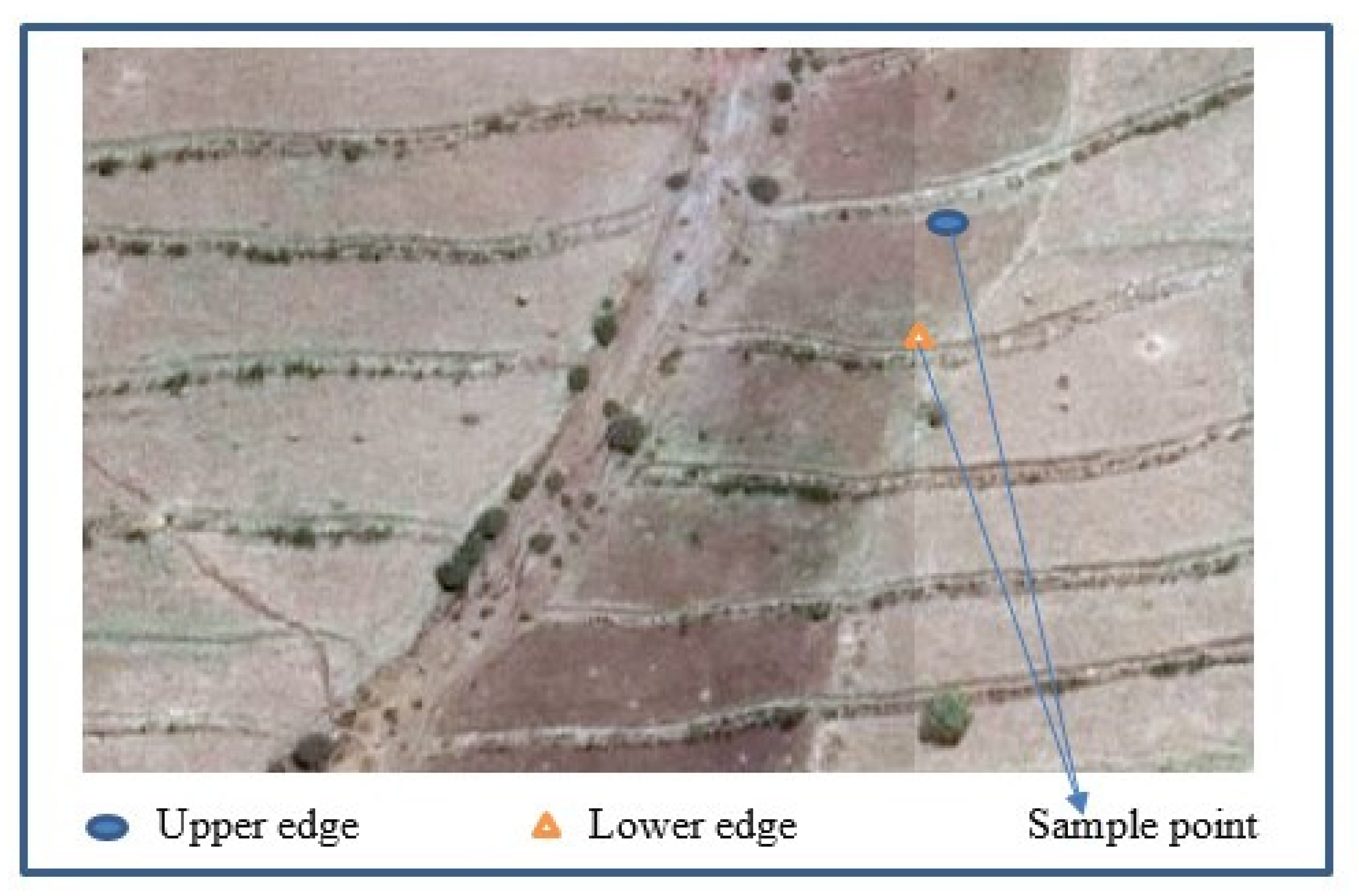 Agriculture 12 00417 g003 550