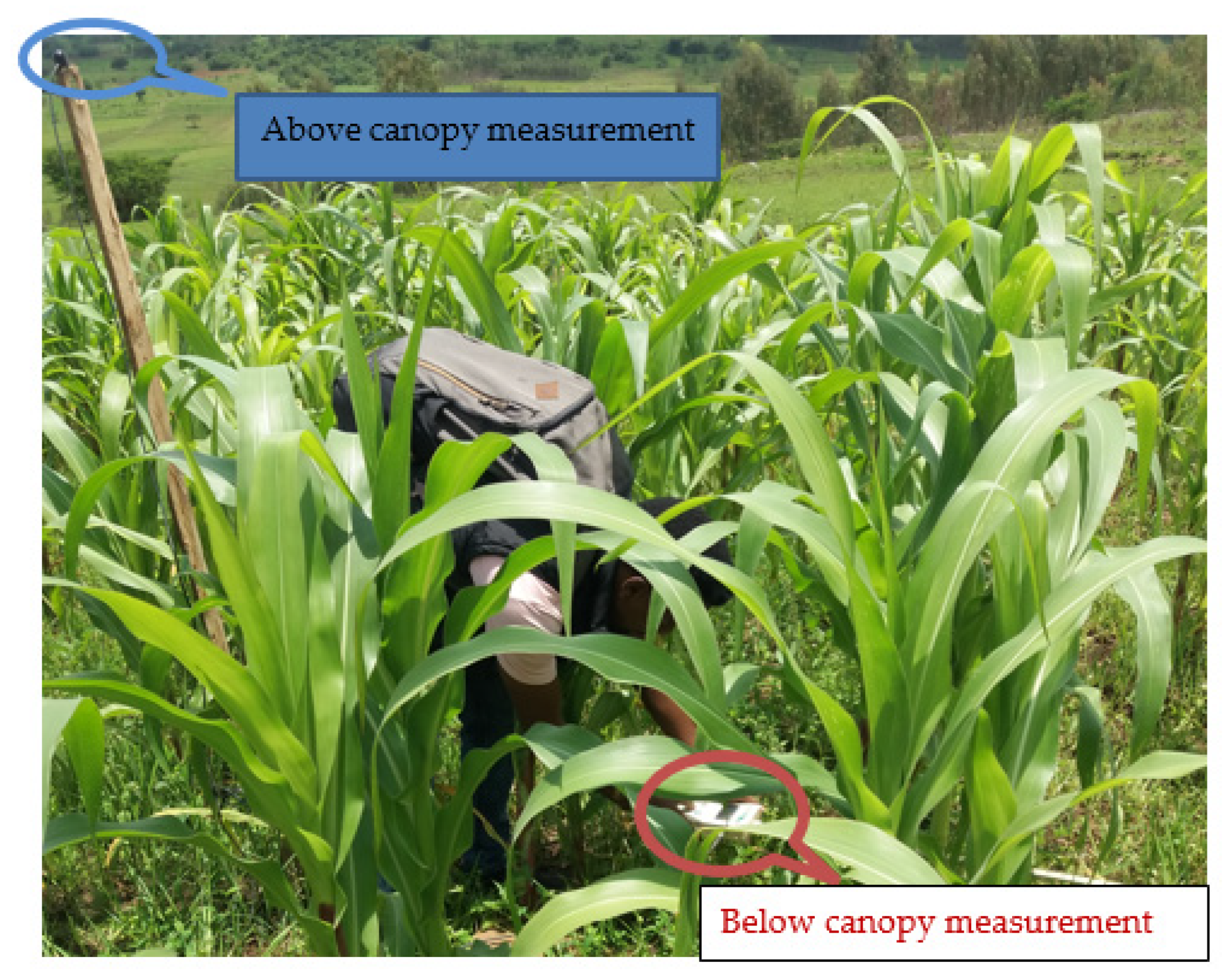 Agriculture 12 00417 g004 550