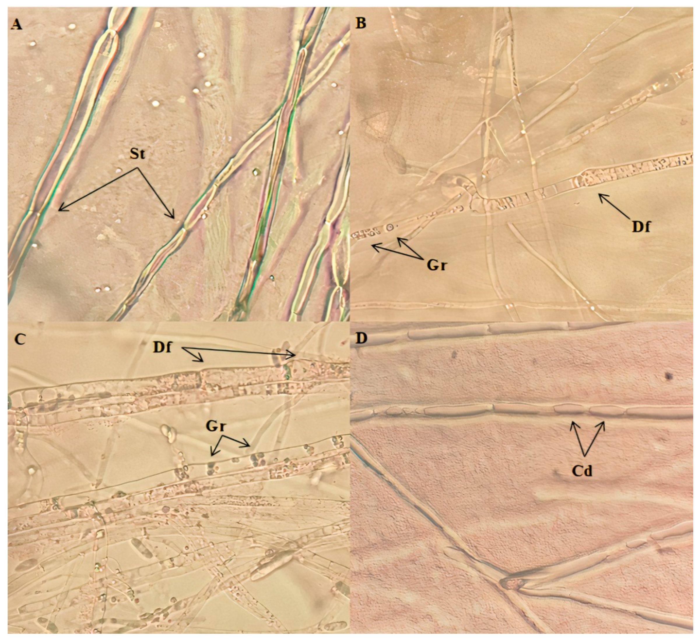 Agriculture 12 00429 g002