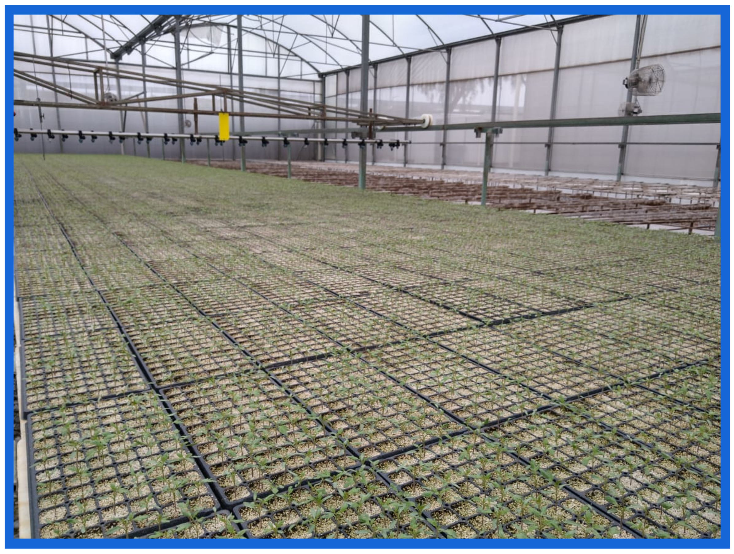 Agriculture 12 00449 g005 550