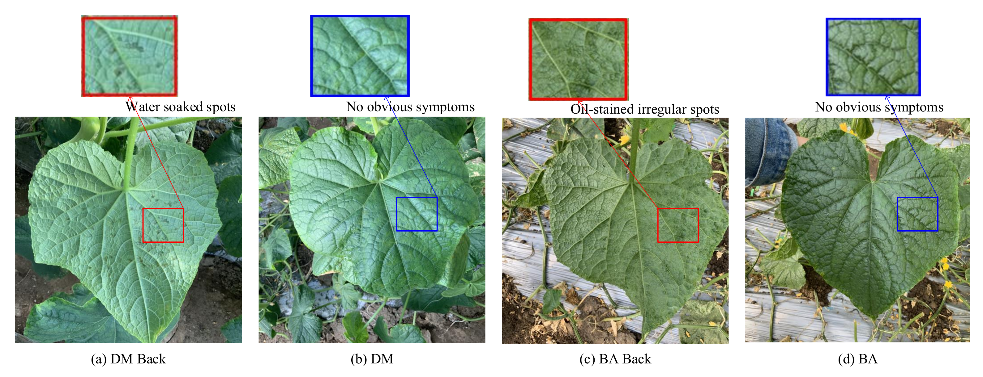 Agriculture 12 00452 g007 550