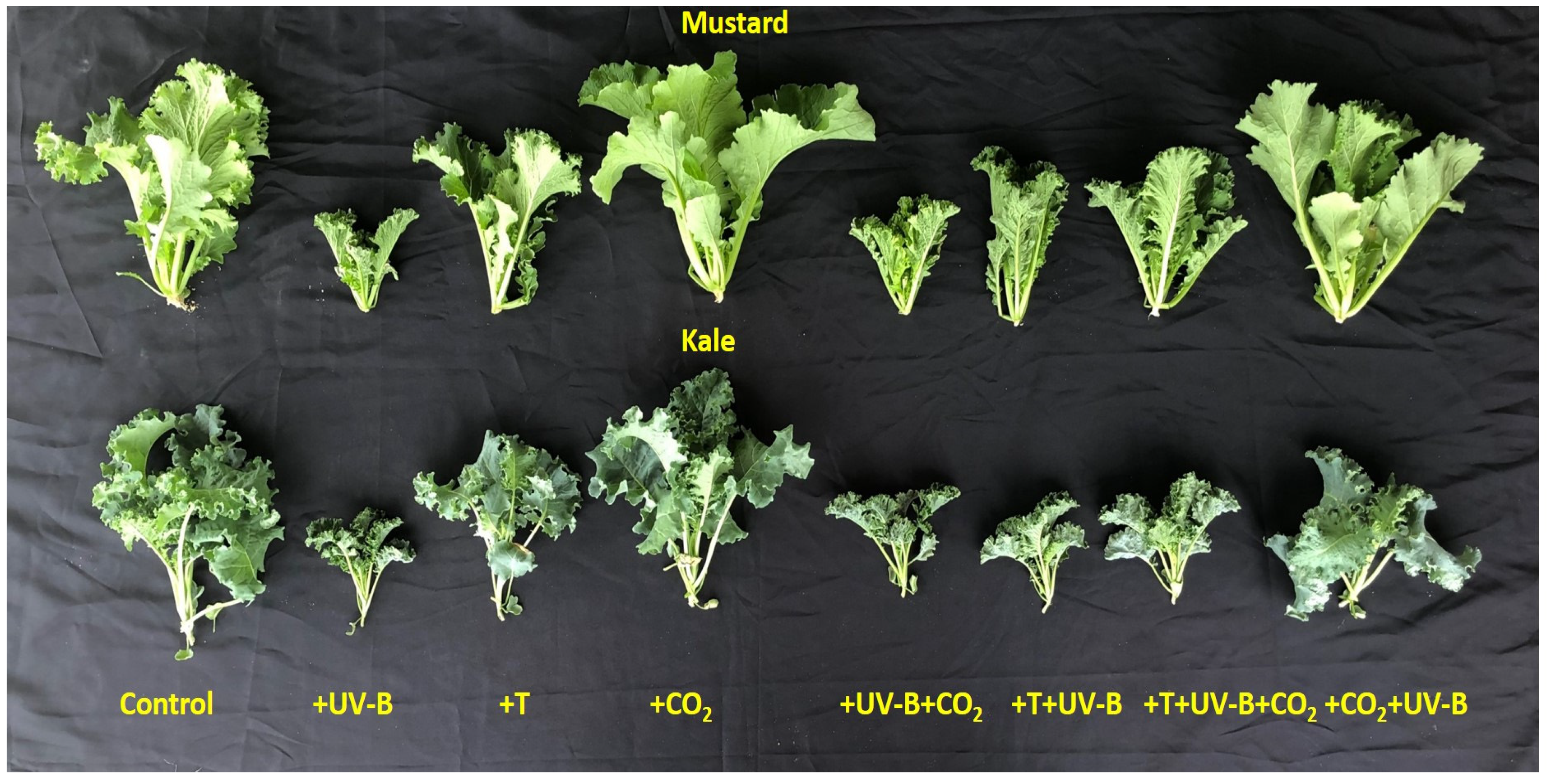 Agriculture 12 00453 g001