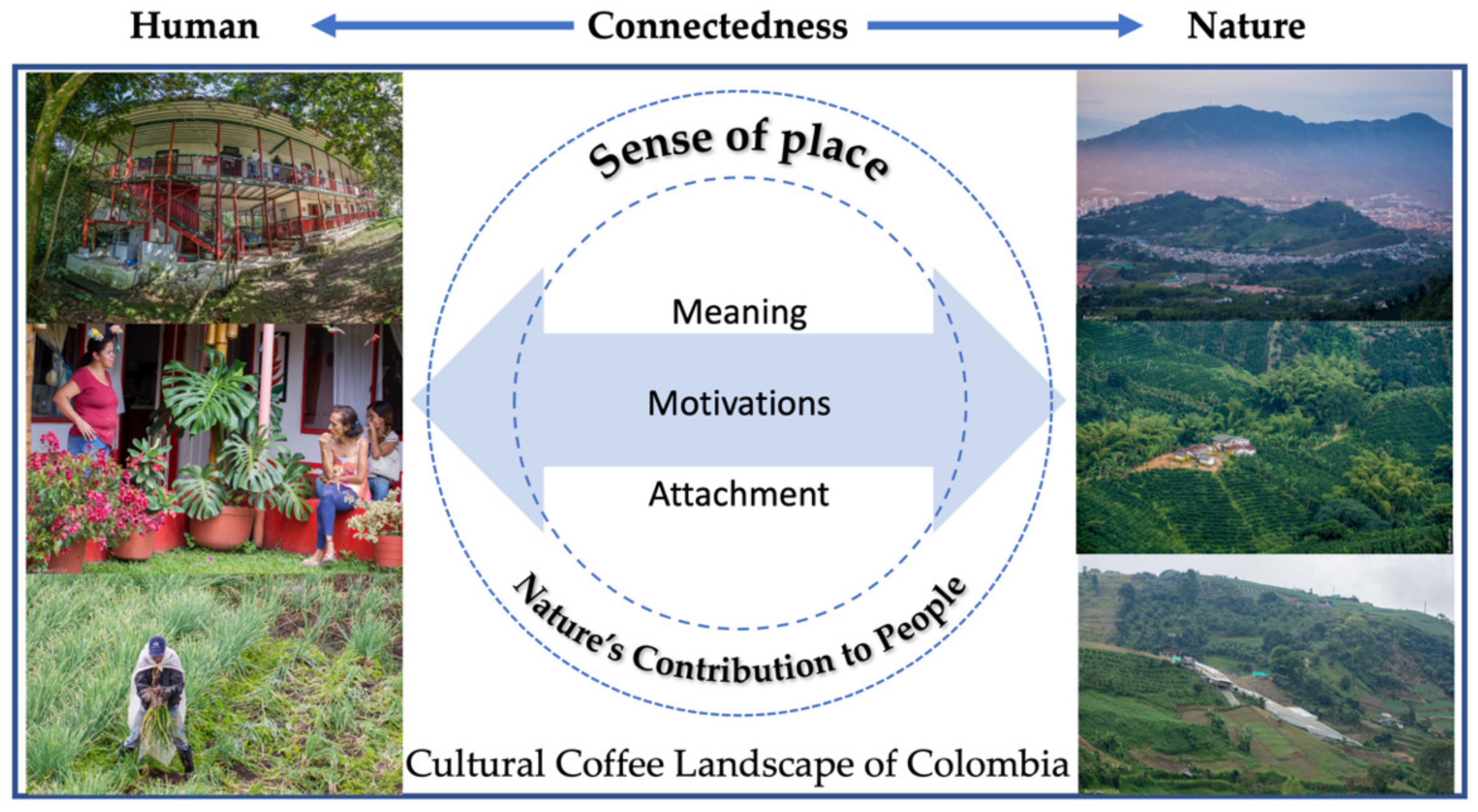 Agriculture 12 00457 g001 550