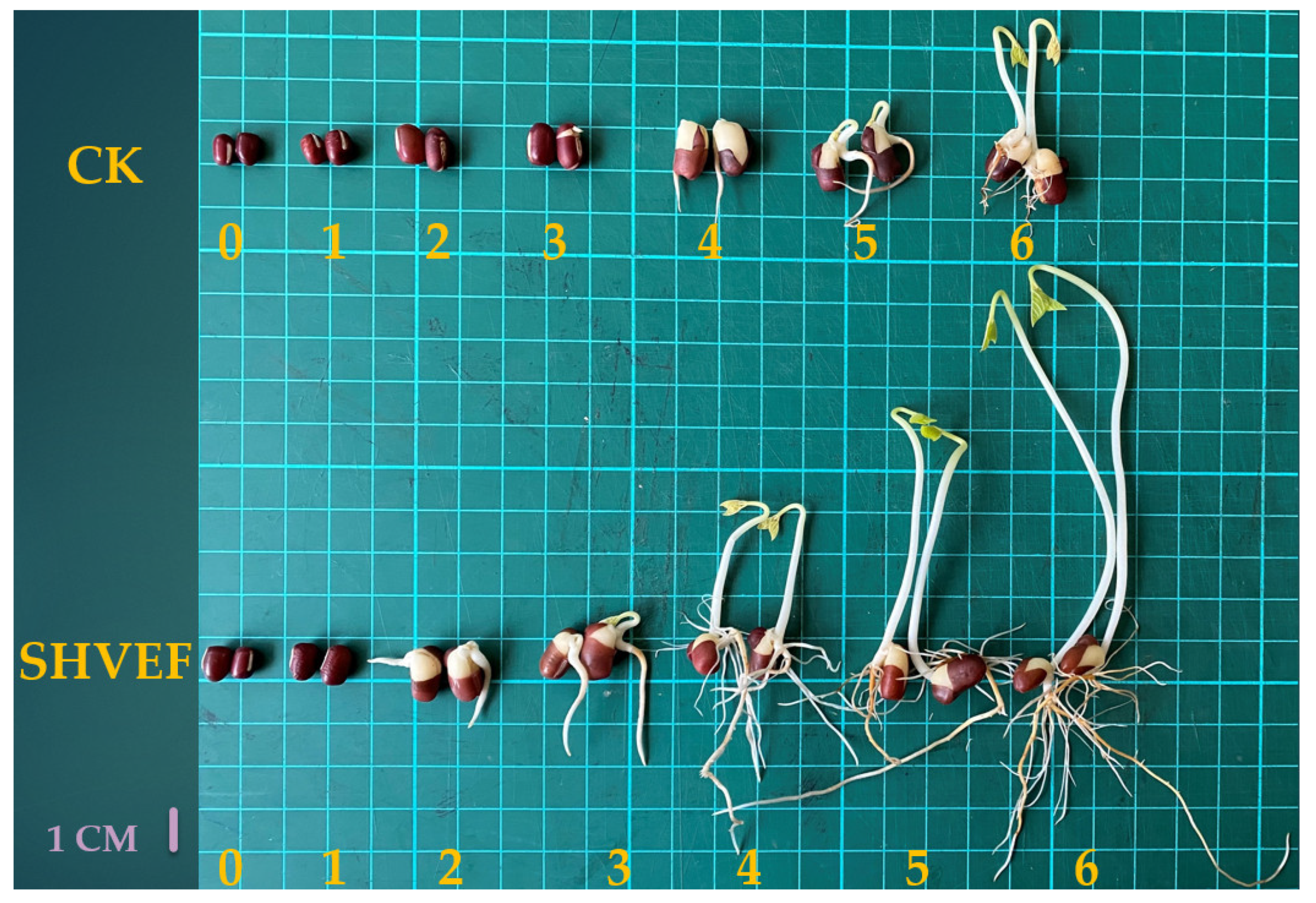 Agriculture 12 00469 g003